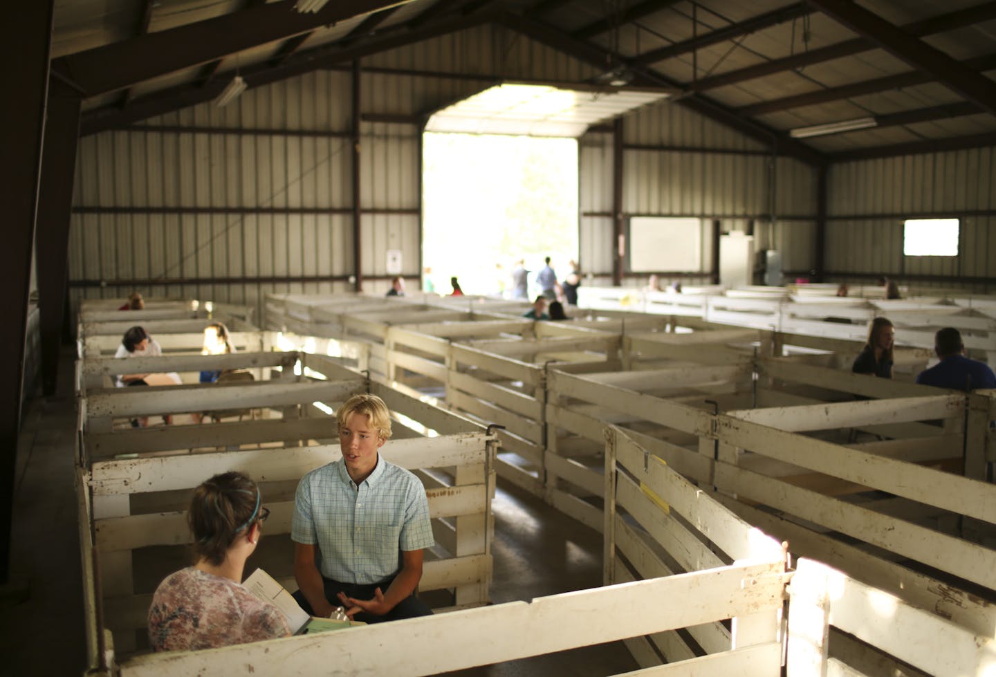 Erik Lundstrom was quizzed by judge Gabrielle Ryan about his rabbit knowledge in her pen in a barn Monday evening at the Dakota County Fairgrounds in Farmington. ] JEFF WHEELER &#x2022; jeff.wheeler@startribune.com The Dakota County Fair begins August 10, but for 4-H'ers the event started Monday evening, August 3, 2015 as they were grilled by judges on just how well they know their swine, rabbits, and goats.