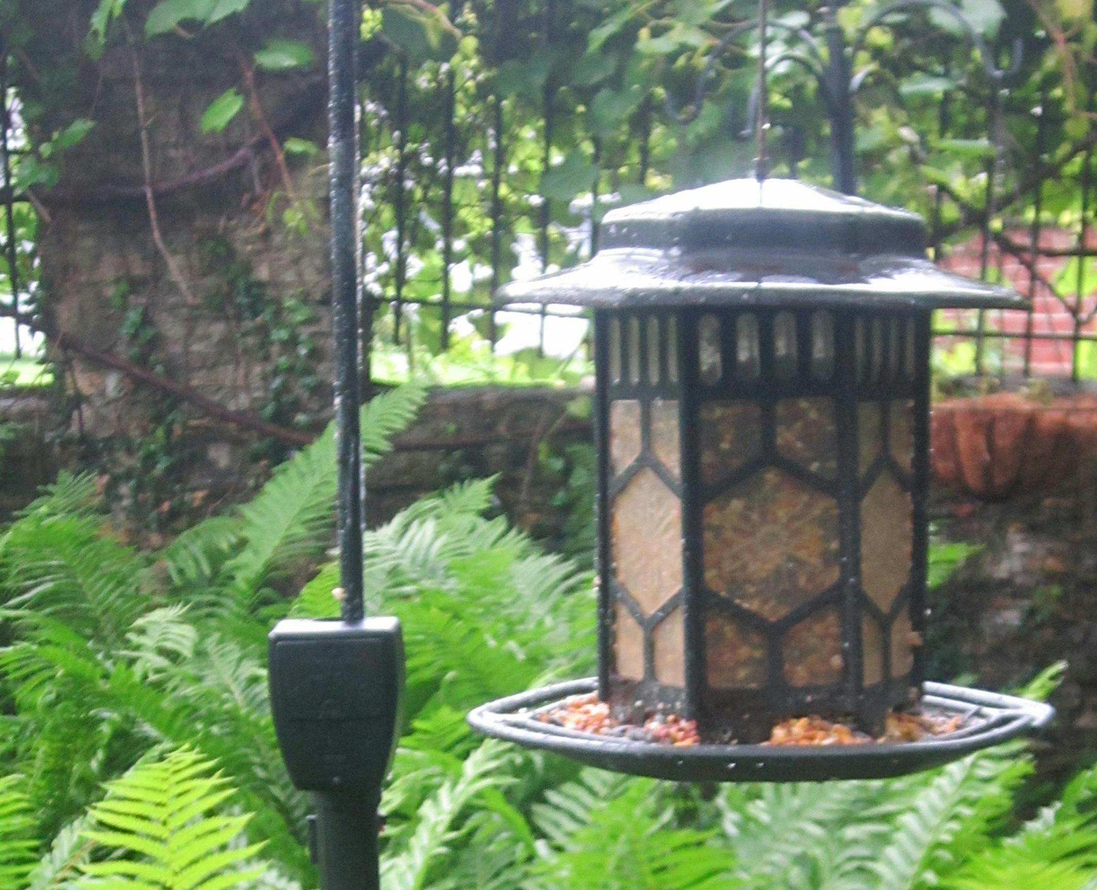 The Feeder Guard attaches to any feeder or birdhouse pole and emits a static electricity shock to any squirrel, chipmunk or raccoon that tries to climb past it to get to the feeder. The shock is generated by a 9-volt battery and is harmless to the animal, just enough to give critters incentive to move on. (Just as important: The feeder and pole are safe for people to touch.) Just be sure to keep your feeder at least 10 feet from any launching spot and high enough so that squirrels can’t l