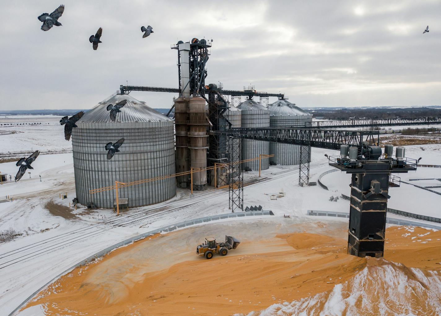 This year, farmers are storing 438 million bushels of soybeans in silos and elevators, such as the one in Randolph, Minn. Soybeans are Minnesota's largest agricultural export by far, with $2.1 billion in exports in 2016, more than double the value of exported corn.