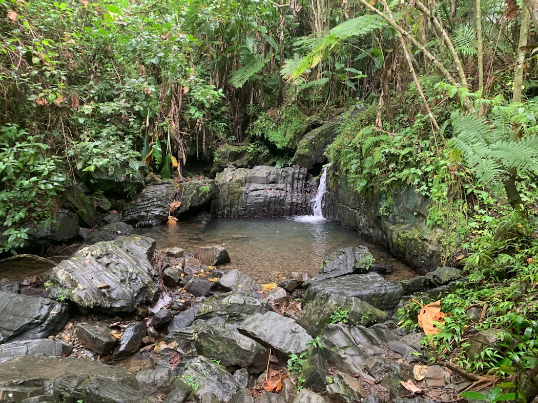 A waterfall at Juan Diego Creek in El Yunque National Forest.