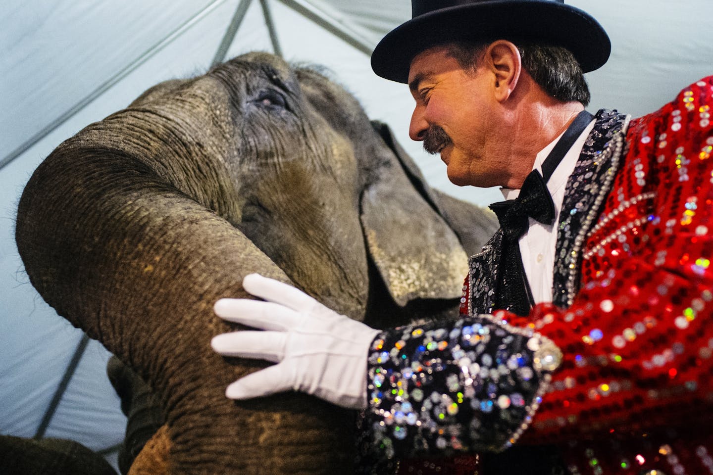Gallery: The St. Paul Osman Shrine Circus