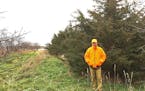 Brian Naas of the Twin Cities stands among a large shelterbelt of trees planted about 17 years ago as part of a Conservation Reserve Program contract 