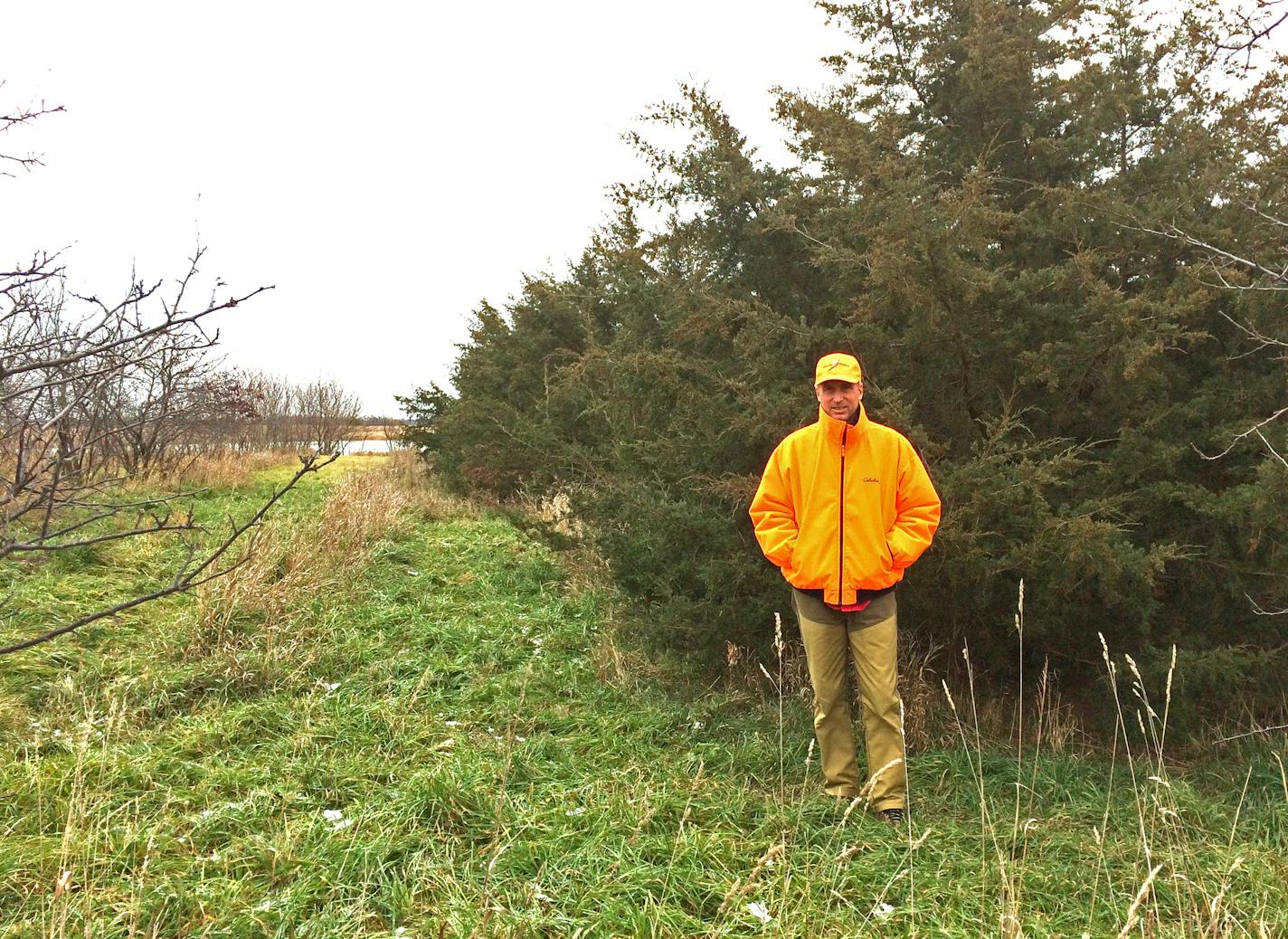 Brian Naas of the Twin Cities stands among a large shelterbelt of trees planted about 17 years ago as part of a Conservation Reserve Program contract that the U.S. Fish and Wildlife Service wants cut down. The service has an easement on the property intended to benefit waterfowl.