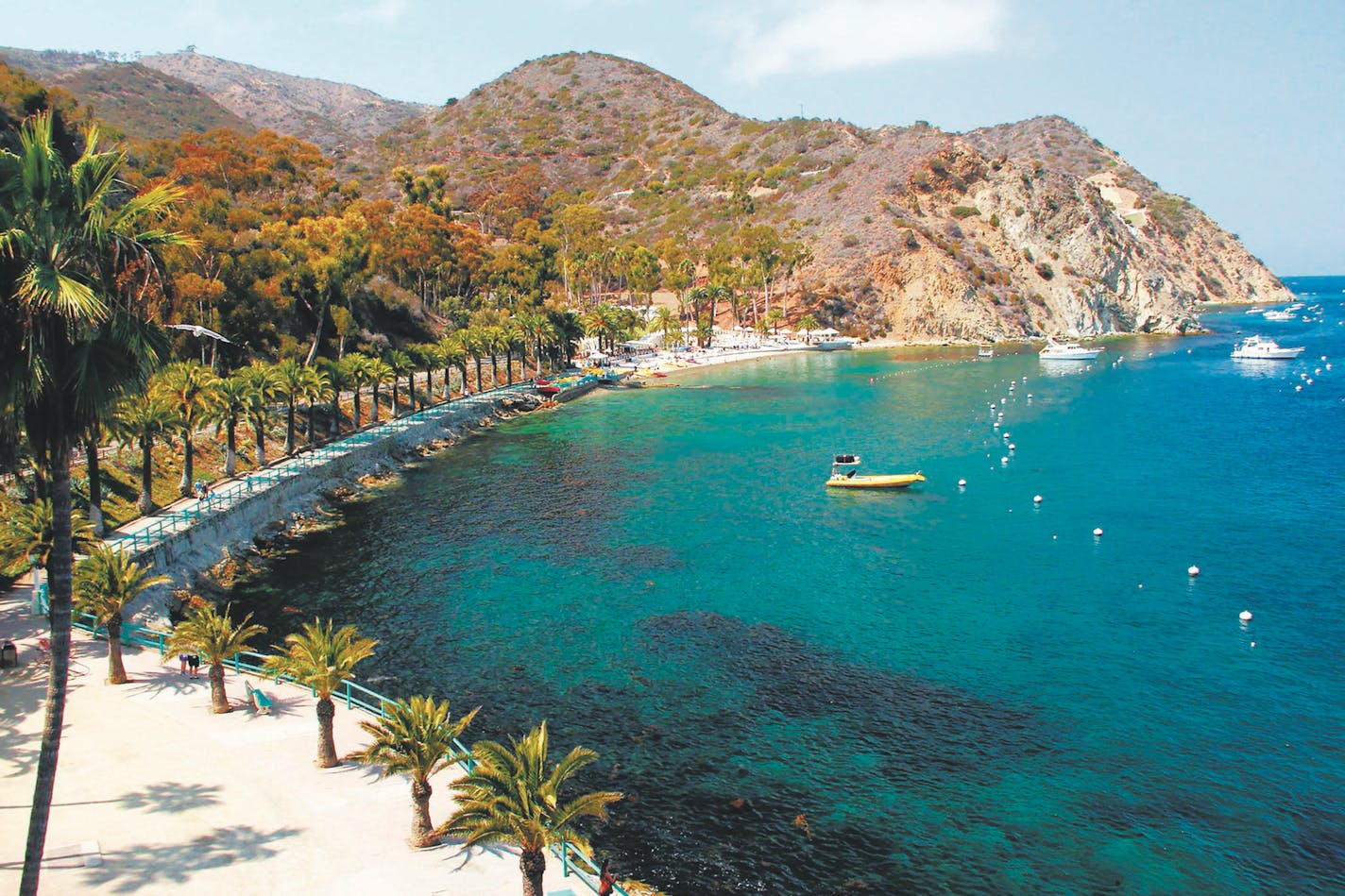 The palm-lined walkway to Descanso Beach as seen from the Casino on Catalina Island is postcard-pretty. (Doug Hansen/San Diego Union-Tribune/TNS)