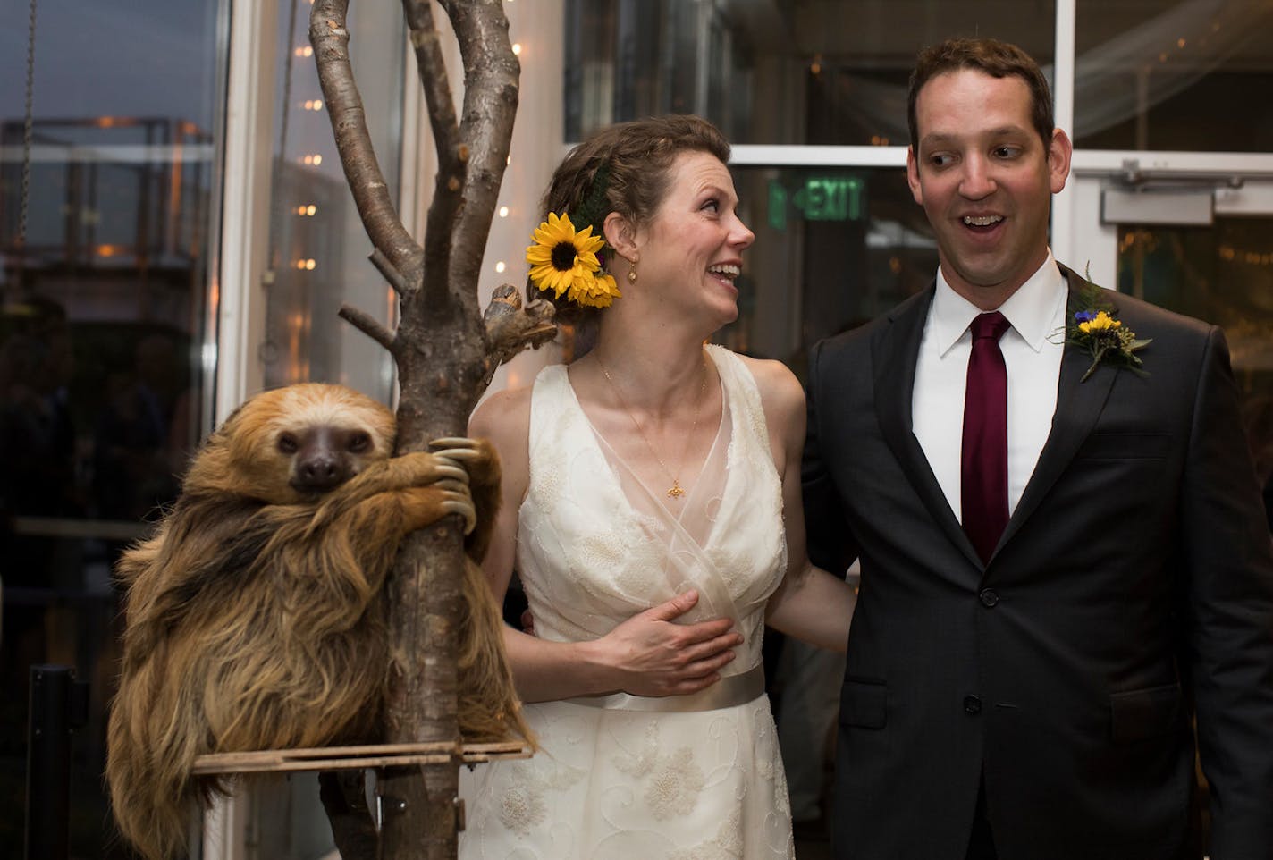 Kristina Geiger and Daniel Sperling at their wedding reception at Como Zoo with Stefon the sloth, who was a hit with guests.