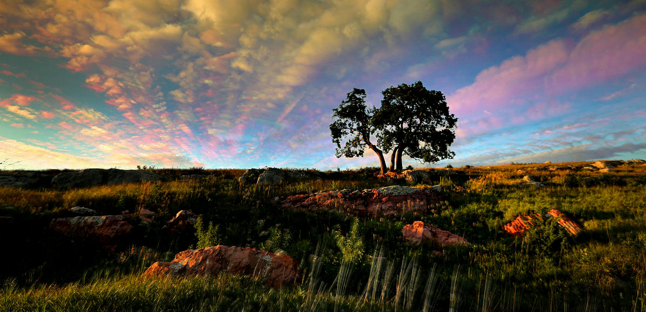 Waves of clouds paint the sky as late afternoon sun skims across the prairie framing the Three Sisters Hackberry Tree at Blue Mounds State Park. This is a multi-frame exposure of passing clouds. ] Minnesota State of Wonders - Summer on the Prairie. BRIAN PETERSON • brian.peterson@startribune.com Luverne, MN 08/02/14 ORG XMIT: MIN1408071220023726 ORG XMIT: MIN1408221520428763