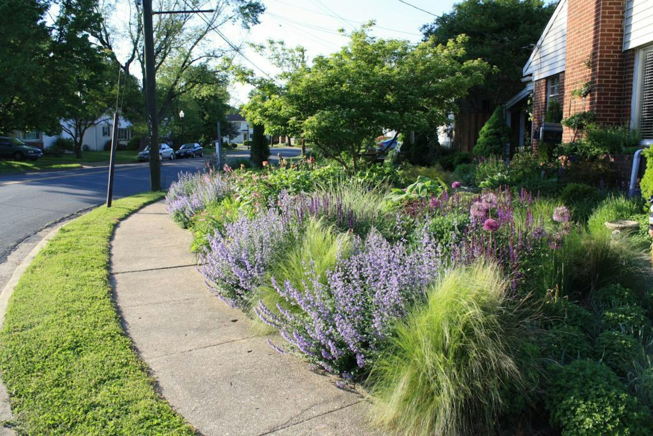 Thomas Rainer's home garden in Arlington, Va., uses a plant community approach to maximize flowers in a small urban garden