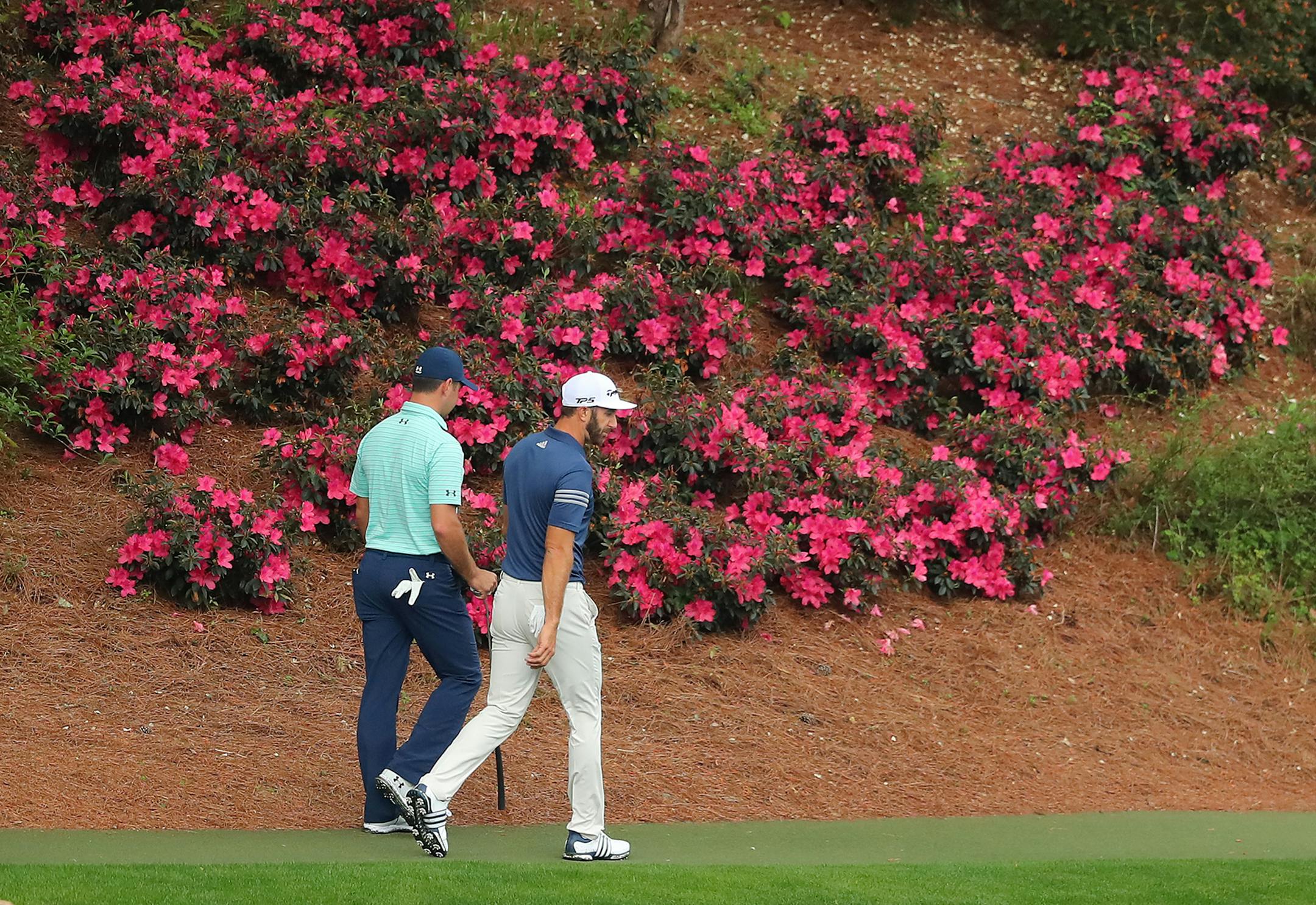 Gary Woodland and Dustin Johnson walk past some of the few blooming azaleas on their way to the 12th green during their practice round for the Masters on Monday, April 3, 2017 at Augusta National Golf Club in Augusta, Ga. (Curtis Compton/Atlanta Journal-Constitution/TNS) ORG XMIT: 1199908