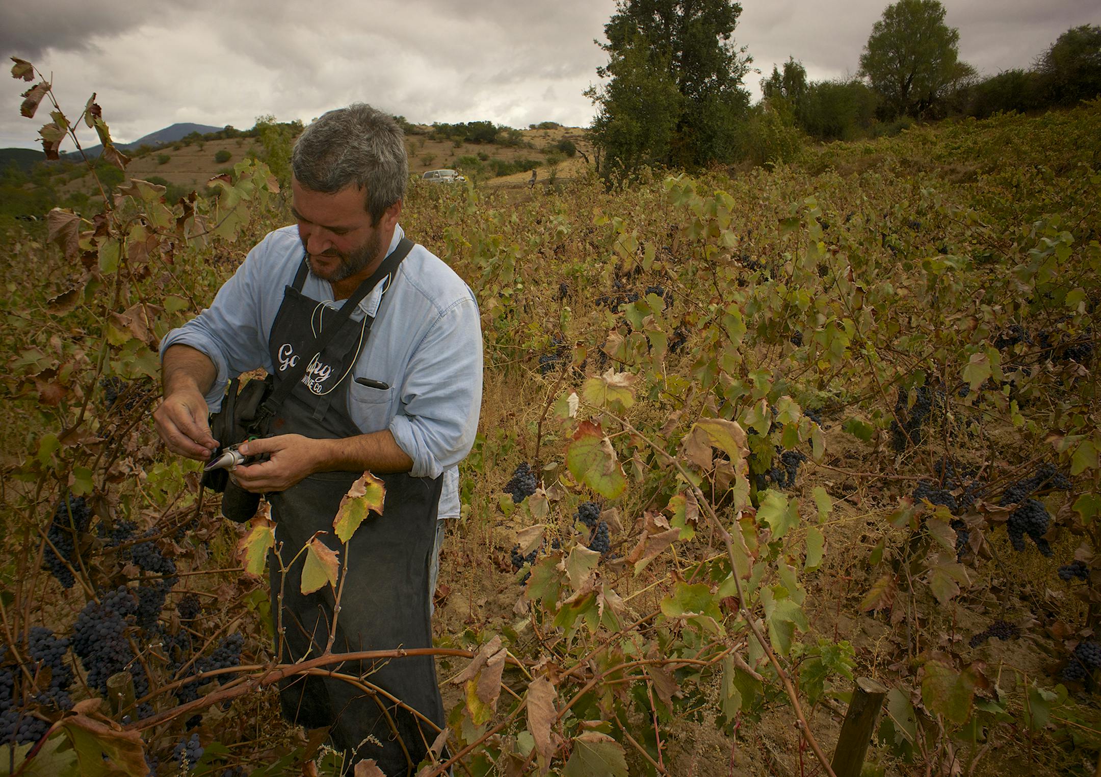 Matt Wilson
Derek Mossman of Garage Wines in Maule Valley, a wine-producing region of Chile.