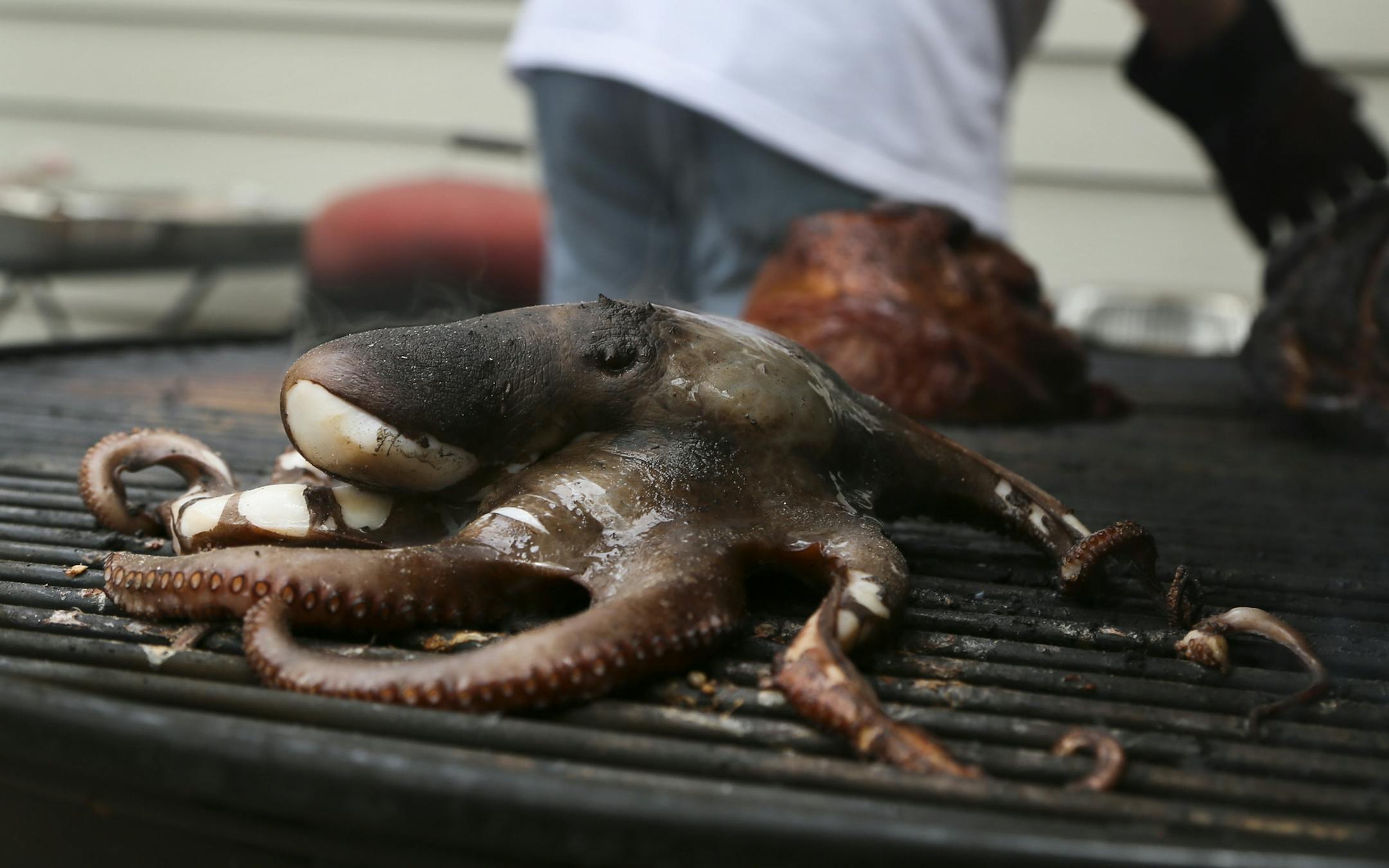 A whole octopus was among the more unusual items smoked during Smokapalooza 2013, on the deck of the Pupel family residence Saturday, May 26, 2013 in Plymouth, MN.](DAVID JOLES/STARTRIBUNE) djoles@startribune How do you learn the intricacies and nuances of user a smoker? By having lots and lots of experiments going on at one time. How do you do that? By gathering 10 families, smokers and grills at the ready, for Smokapalooza. Everyone learns, by successes and failures, and they eat really well.