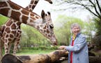 Anne Innis Dagg feeding giraffes in "The Woman Who Loves Giraffes."
Photo by Julie Giles