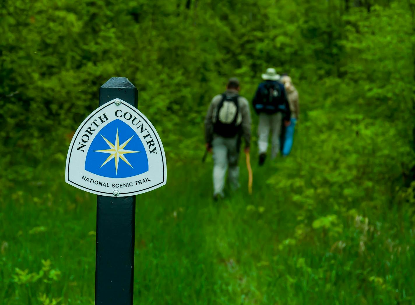 Photo by Matthew Davis. North Country Trail.