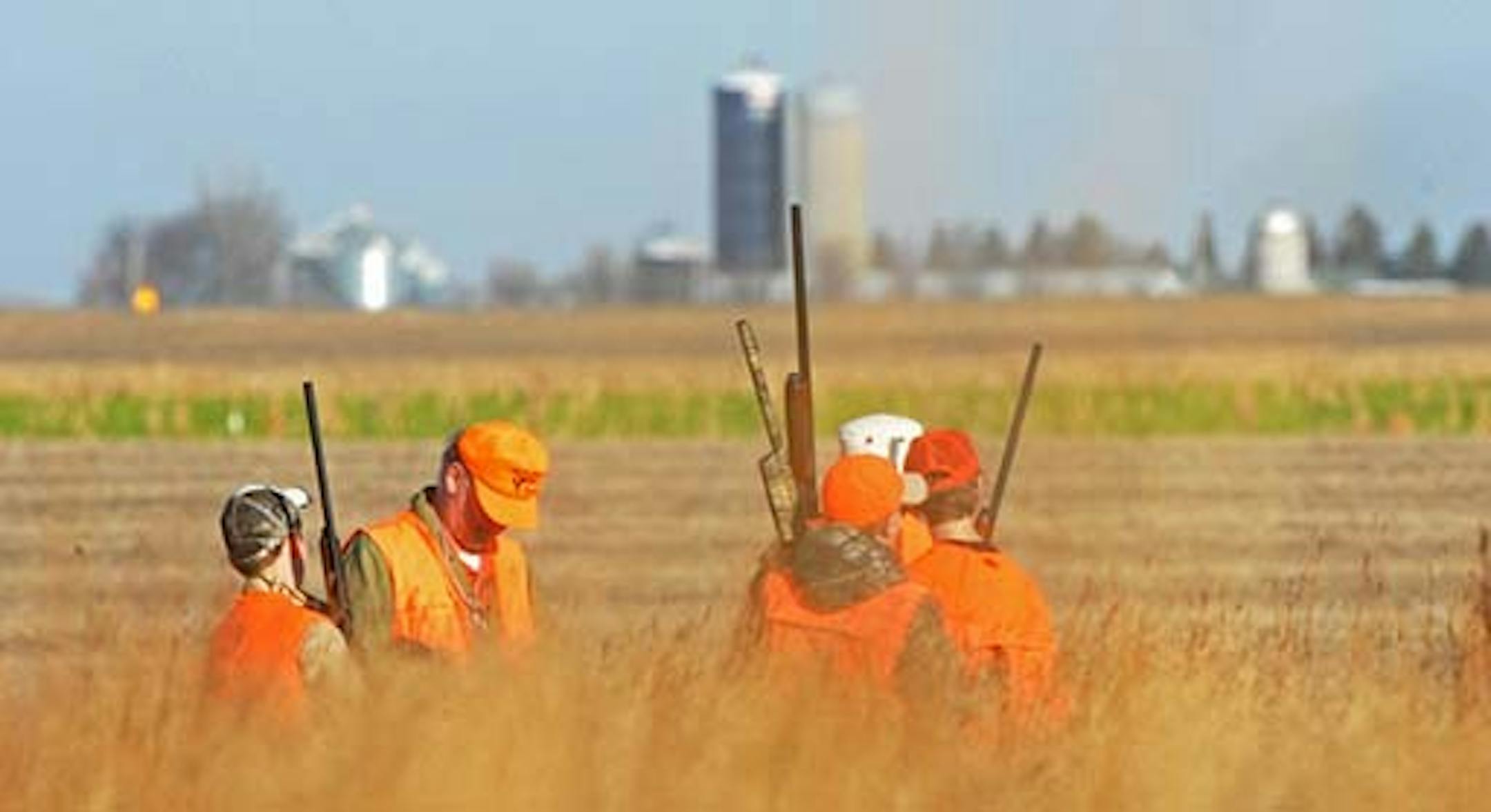 Farmers and sportsmen often want different things from Minnesota ringneck country. From roadsides in southern and western Minnesota, hunters want pheasants and other birds to flourish. Farmers, meanwhile, often are more concerned about the hay that they take from roadsides — in many cases, the same grasses wildlife need to live.