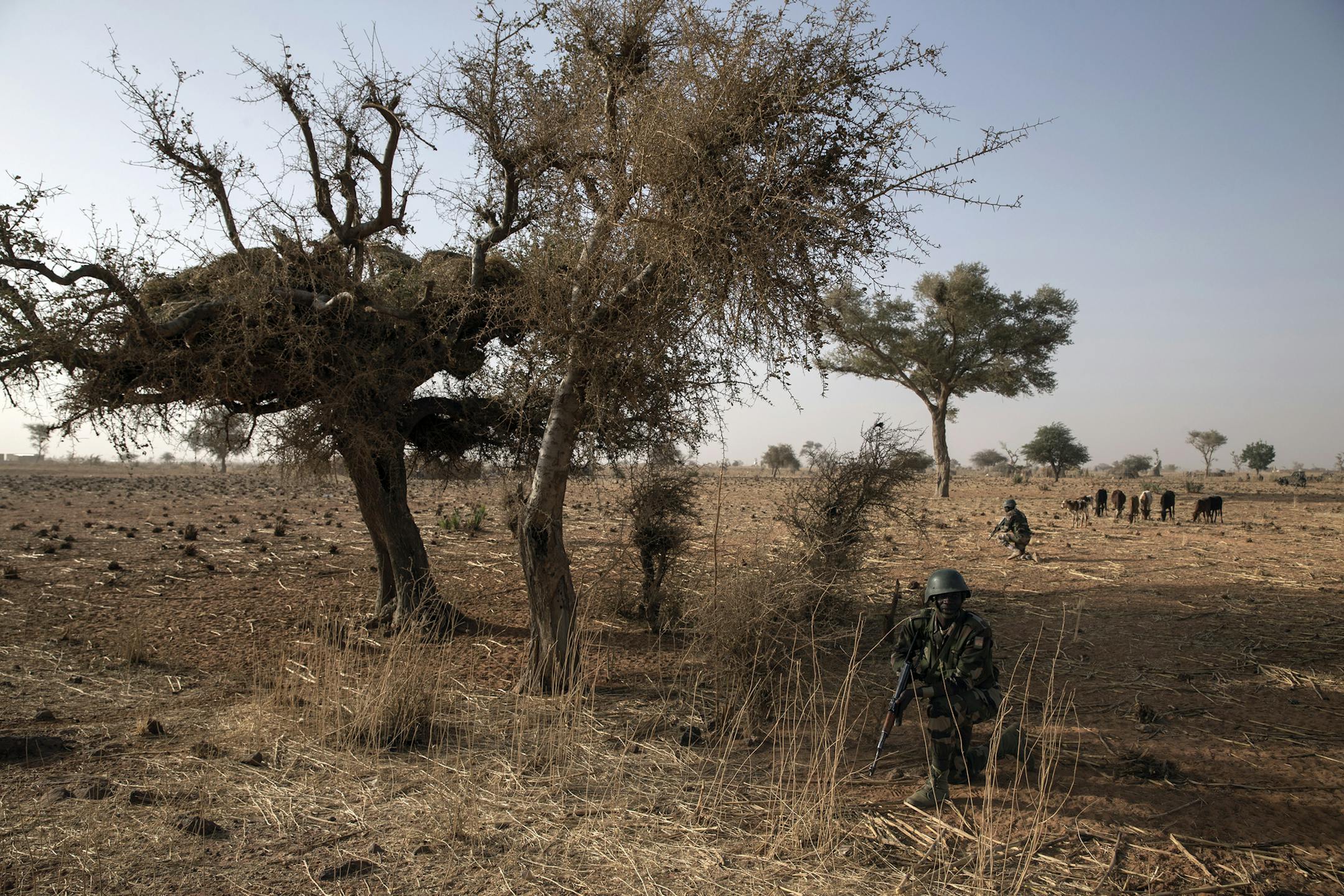 FILE -- Nigerien Army soldiers conduct an exercise near their training base at Tondibiah, on the outskirts of Niger’s capital, Niamey, on Feb. 13, 2018. After four American soldiers were killed in an October ambush, the U.S. imposed additional safety measures to protect troops on missions helping local forces in Niger. But the missions did not end. (Finbarr O'Reilly/The New York Times)