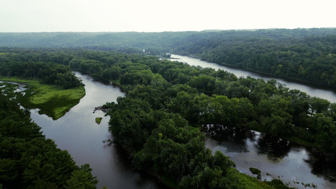 The Science Museum’s Pine Needles cabin