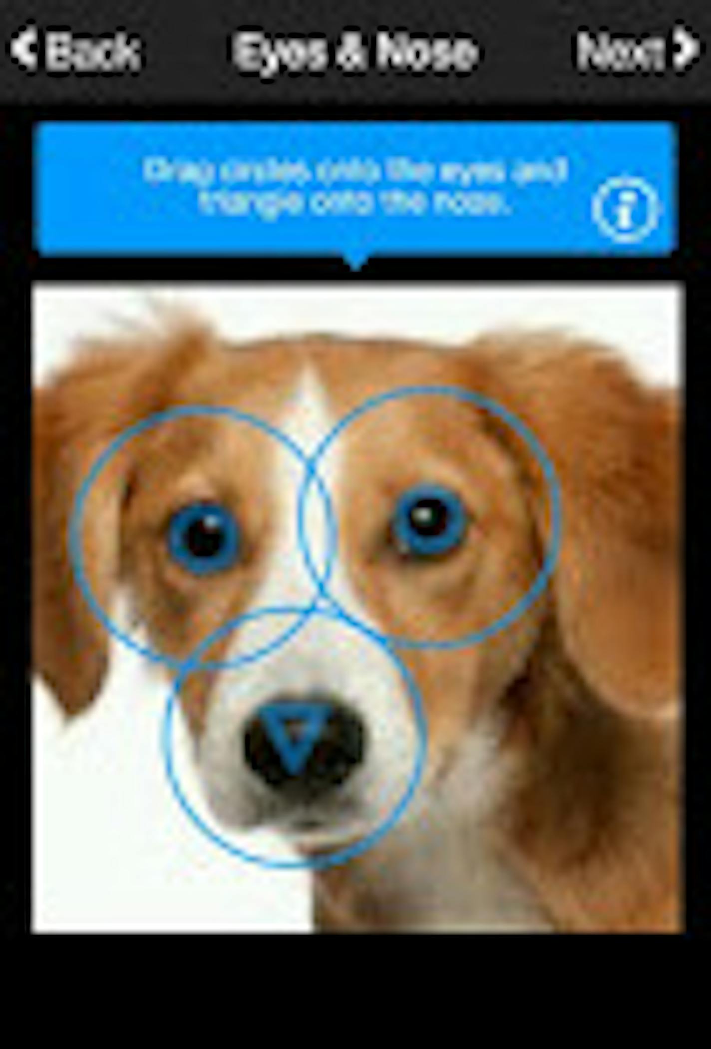 Finding Rover app uses facial recognition technology to match lost dogs with those that are found.