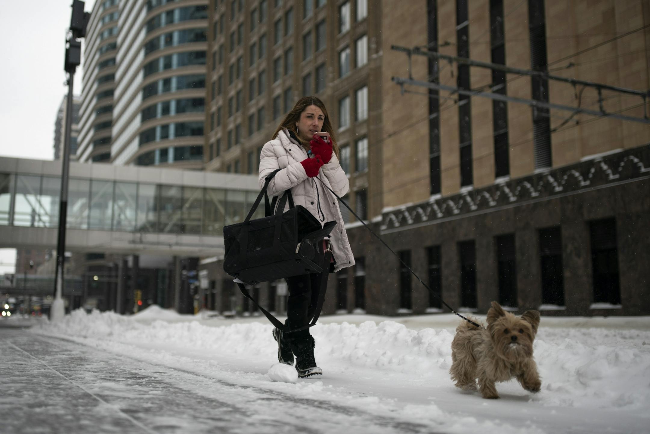 Aspen Madrid walked her dog Alvin on the snow covered sidewalks of downtown Minneapolis on Wednesday.