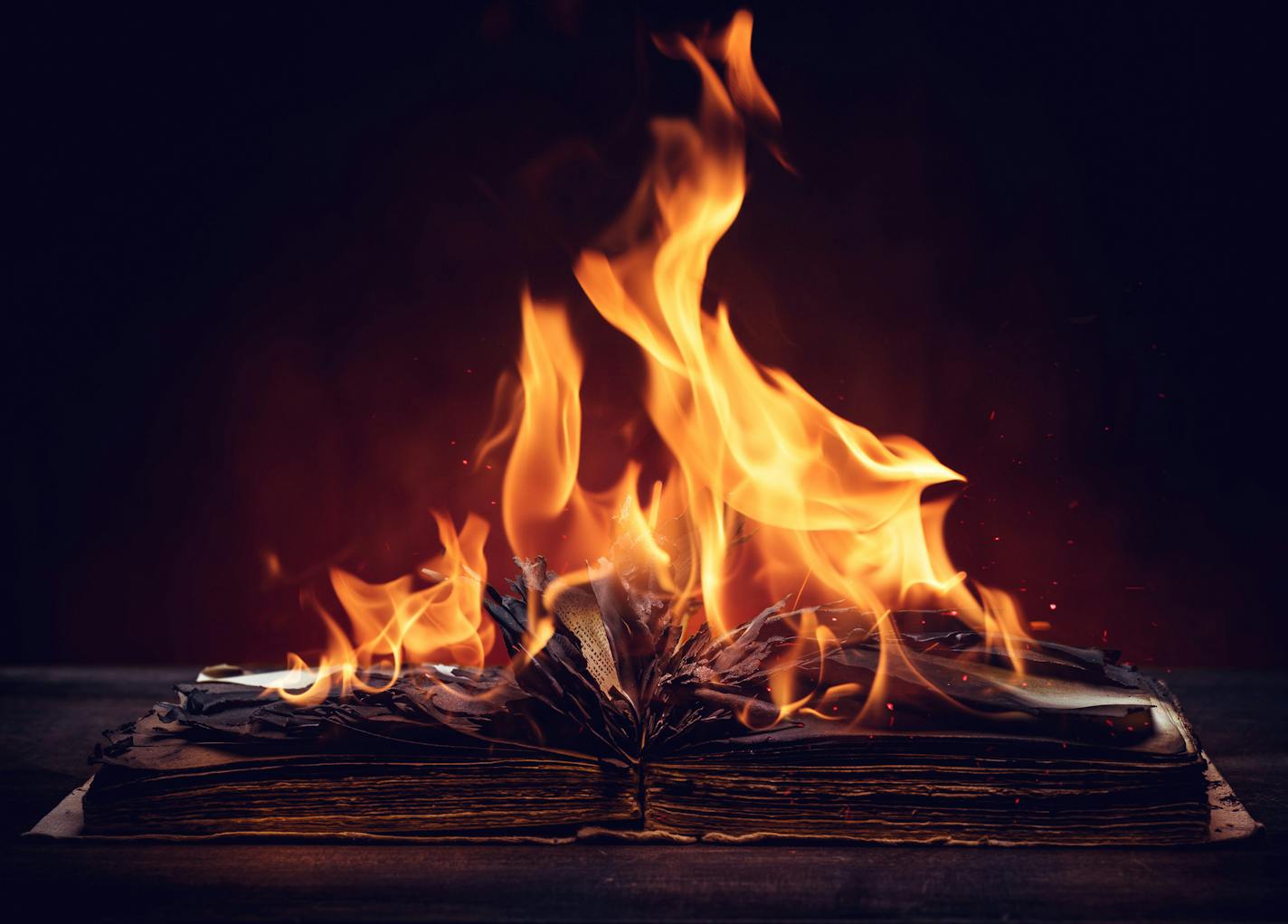 Old book in fire