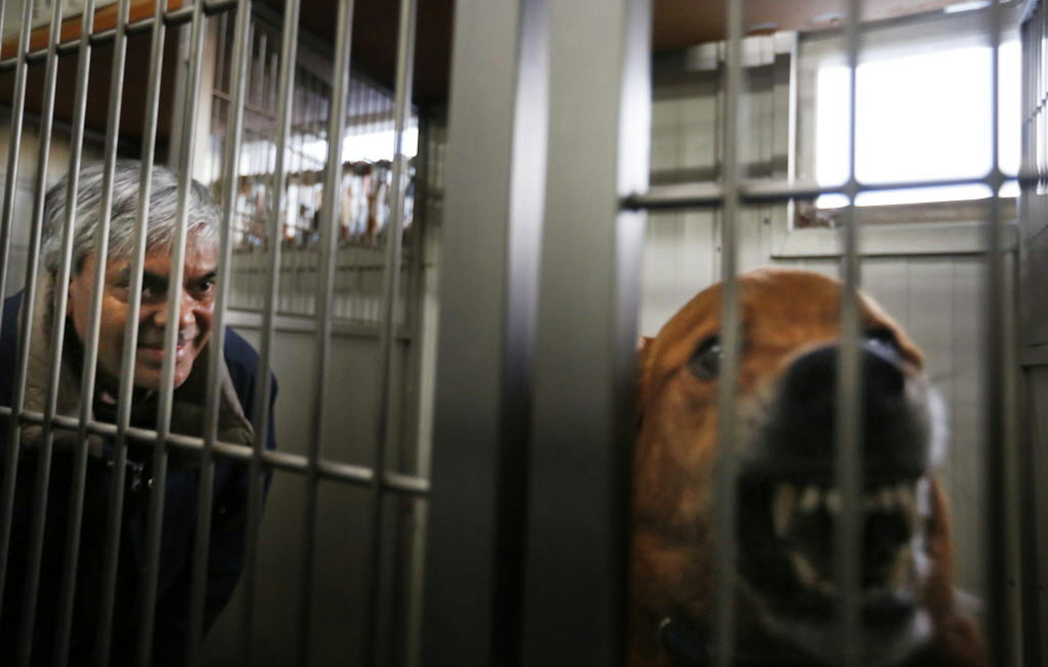 Mitchell Sawh, at the Otter Lake Animal Care Center in Hugo, has spent more than $50,000 in lodging and lawyer fees to keep Brody from being euthanized.