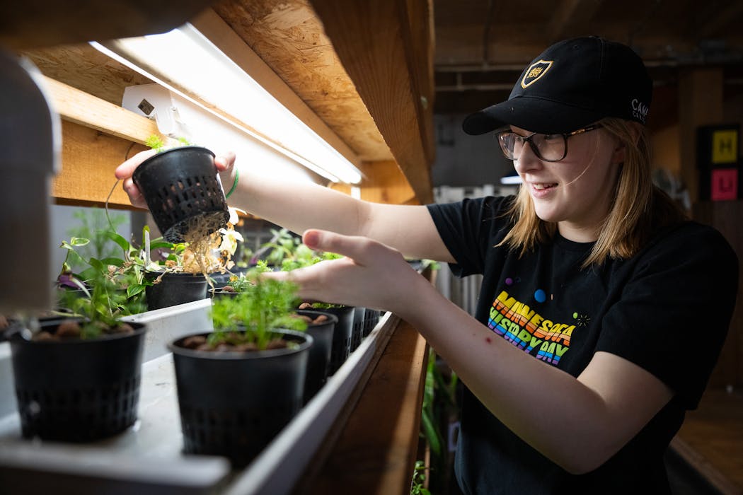 Abigail Peters checks on plants in the aquaponics system at the Spark-Y Urban Ag Lab.