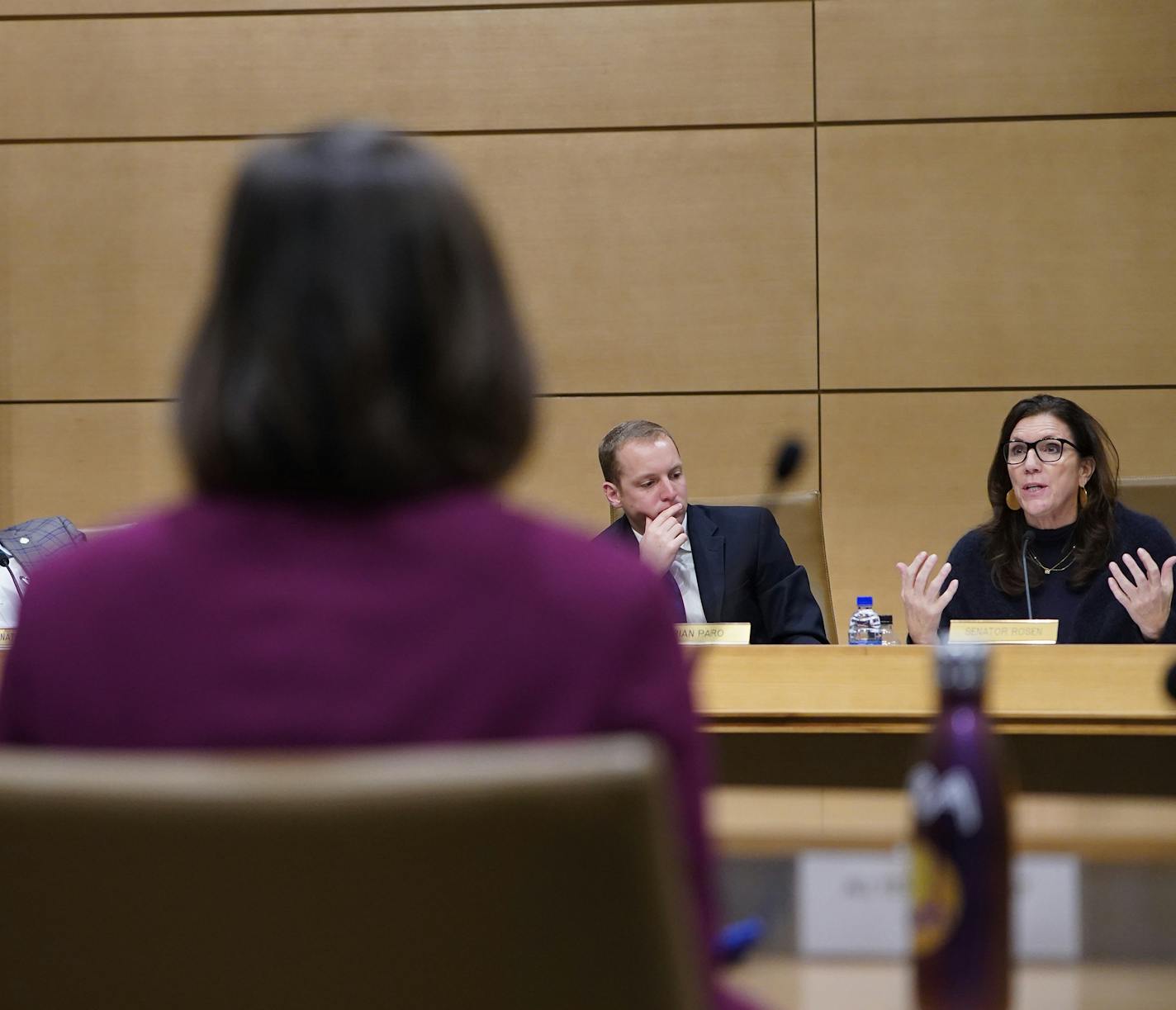 Senator Julie Rosen led a hearing over the leadership atthe Minnesota Department of Human Services (DHS) for its mismanagement of financial contracts, which led to hundreds of violations of state law. ]State lawmakers leveled stinging criticism of leadership at the Minnesota Department of Human Services (DHS) for its mismanagement of financial contracts, which led to hundreds of violations of state law. RICHARD TSONG-TAATARII &#xa5; richard.tsong-taatarii@startribune.com