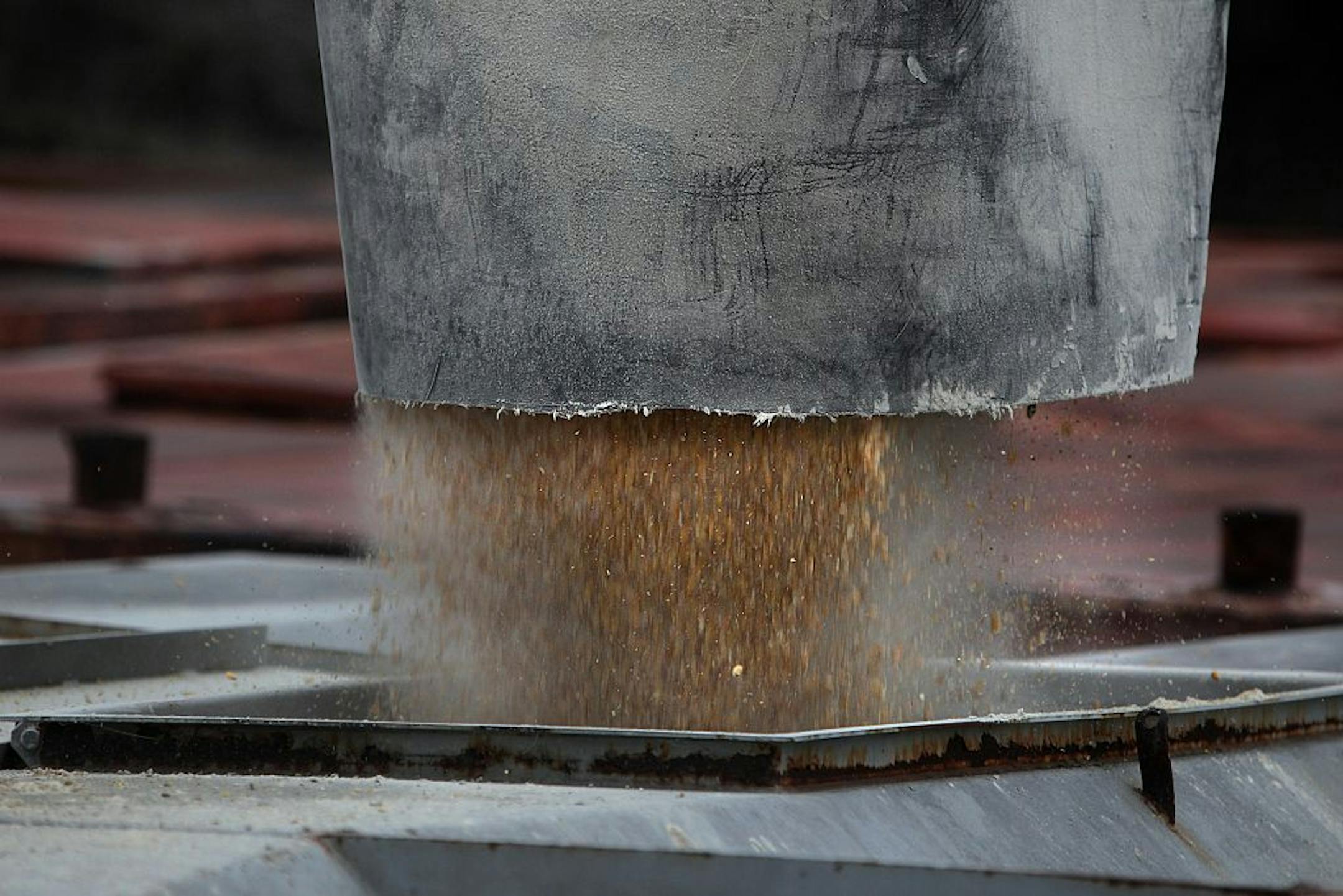 Corn poured through a shoot and into a barge at the Cargill loading area along the Minnesota River in Savage.