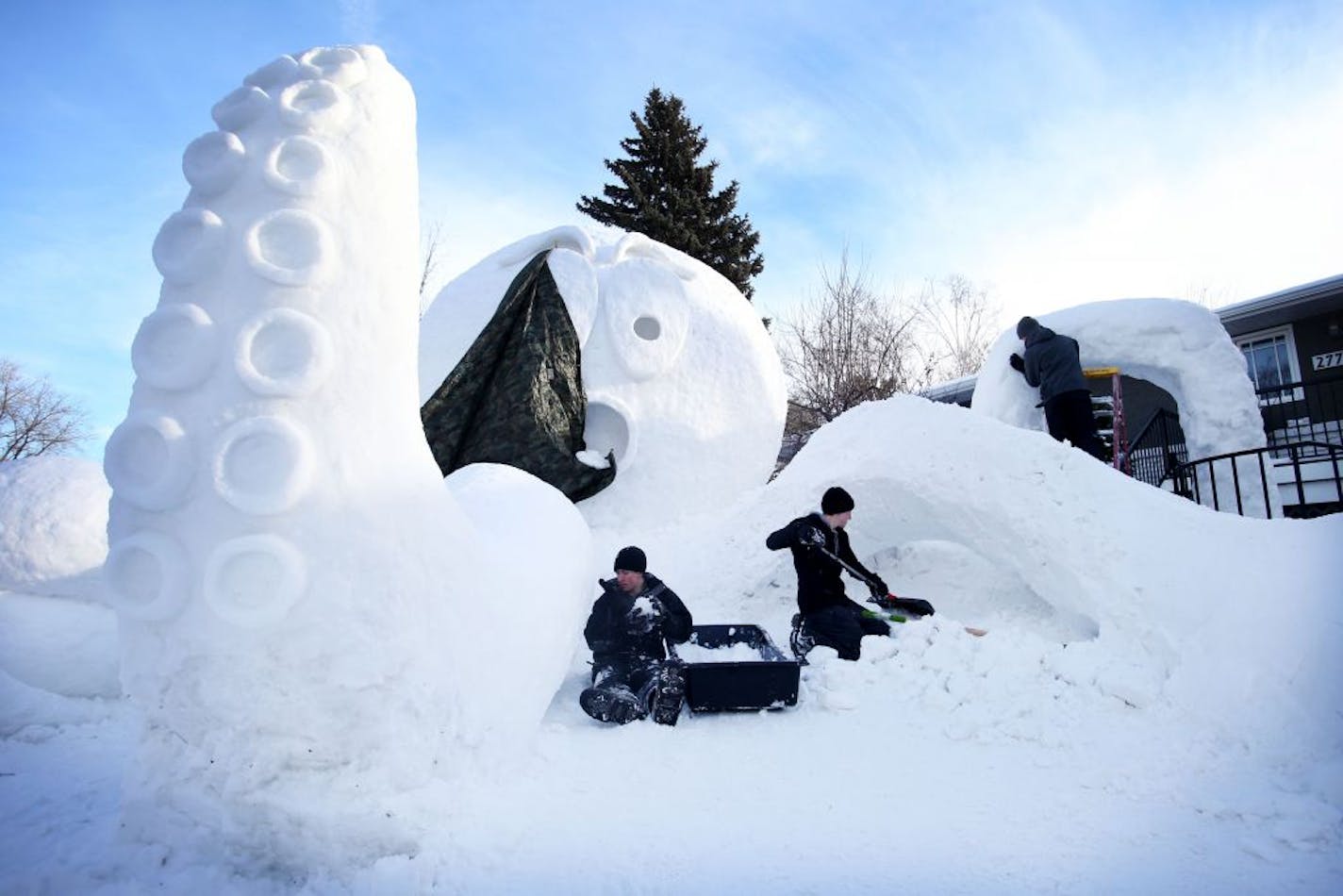 Maybe the Bartz brothers--Austin, 21, Trevor, 20, and Connor, 17, -- will get more material to work with. They built this 18-foot-high snow octopus outside their home Tuesday, Jan. 5, 2016, in New Brighton.