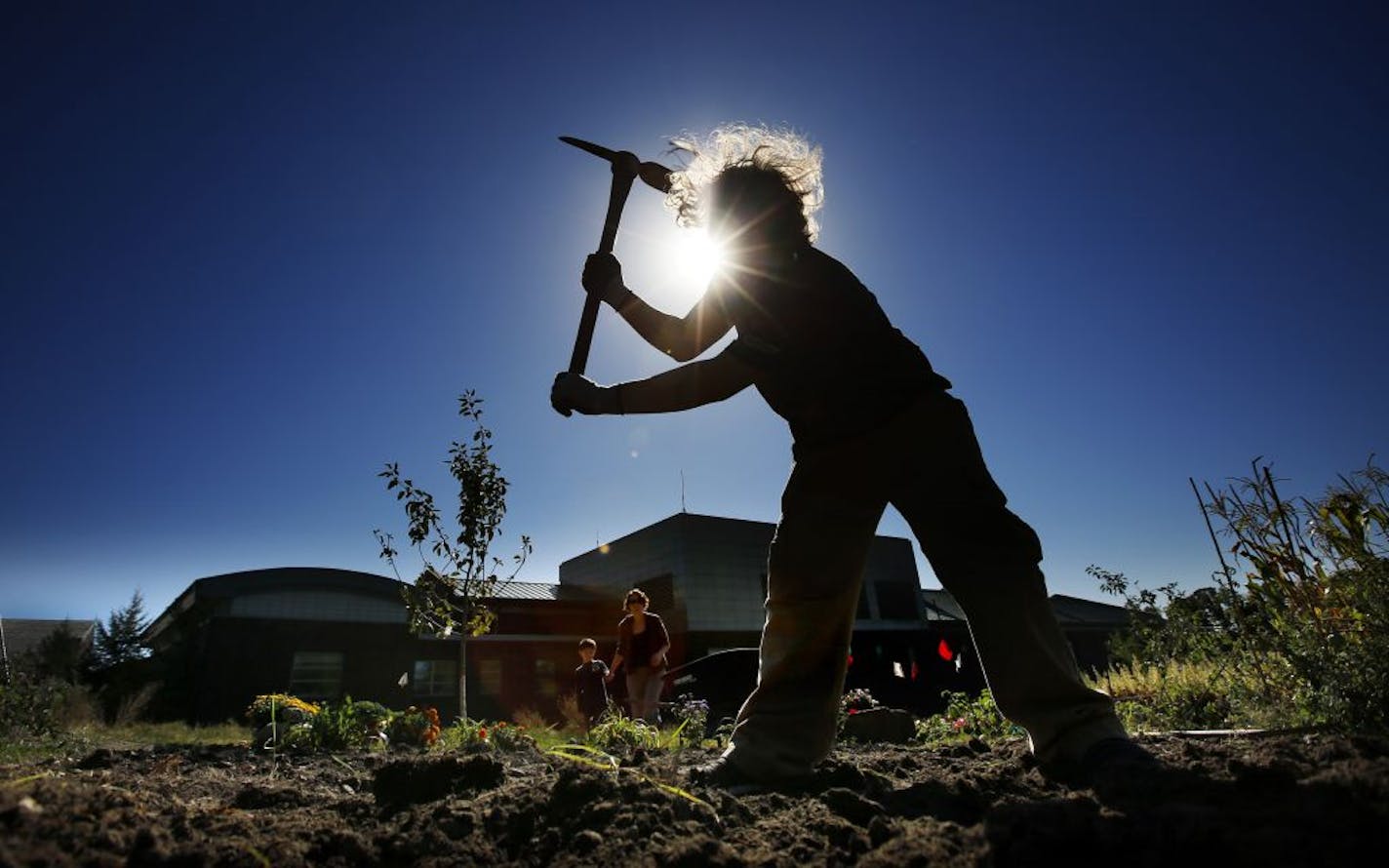 On the Inver Grove Community College campus, August Hoffman, who is a professor of psychology at Metro State, studies how gardening is an important community building activity and can bridge the ethnic divide. He juxtaposes that with screen time, which in his opinion isolates.Here, as student Sam Goers (right) loosens up the dirt with a pick axe, Misha Liang and her son Brandon, 8, prepare to plant some flowers (Background).