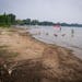 Visitors waded into White Bear Lake, where the lake has receded from the shore at White Bear Lake County Park.
