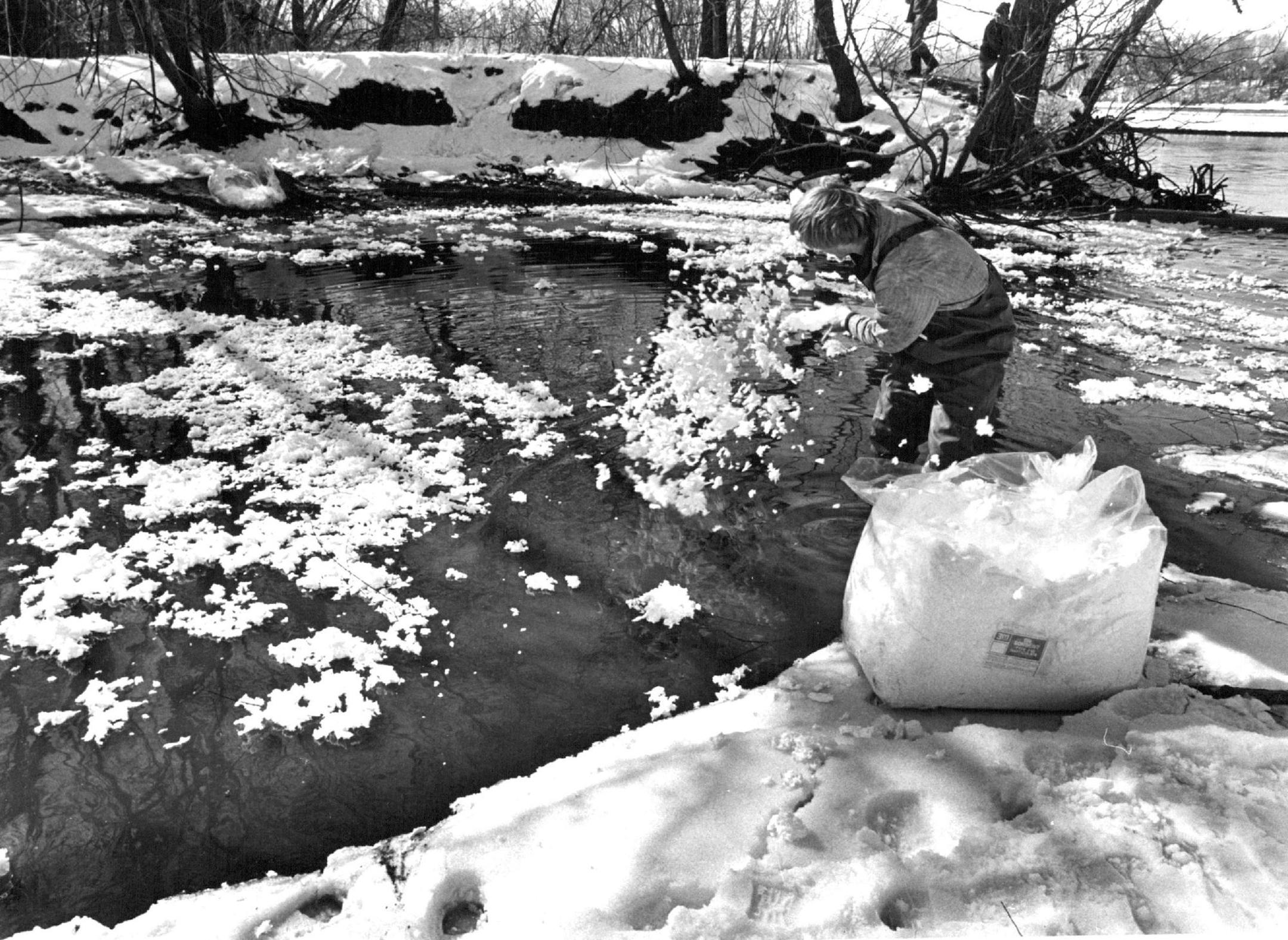 March 10, 1977 Employee of fuel recovery Inc. Spread absorbent material over water No threat to city water supply seen by state and city health authorities Tests of drinking water at the Minneapolis water treatment plant show no sign of contamination from a large oil spill into the Mississippi River, a state health department official says. Gary Englund, chief of the department's public water supply section, said the tests showed no trace of the diesel oil that was found in melted-snow runoffs t