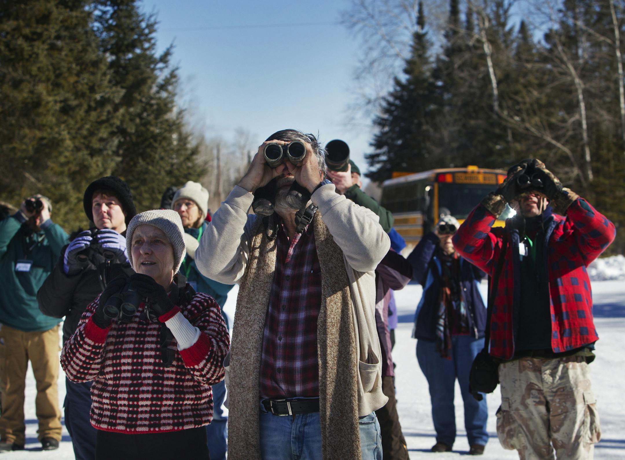 Birders peered through binoculars near a bird feeding station in Sax-Zim Bog to get a good look at an group of bright red pine grosbeaks during the Sax-Zim Winter Birding Festival Saturday, Feb. 16, 2013, at the Sax-Zim Bog in Meadowlands, MN.] (DAVID JOLES/STARTRIBUNE) djoles@startribune.com Every mid-February, bird watchers from around the country -- and even a few from overseas -- gather before dawn in a frozen bog in northern Minnesota for the Sax-Zim Winter Birding Festival. Bundled in ever