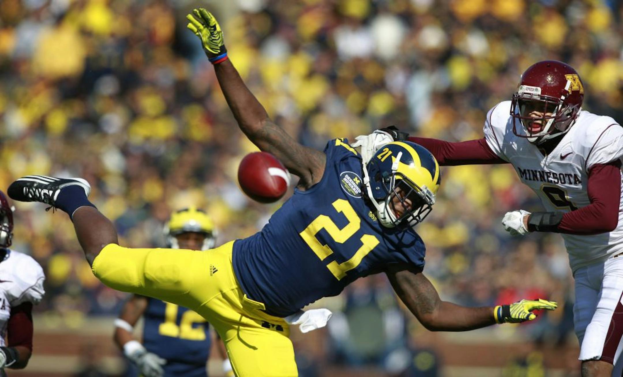 Minnesota's defensive back Cameron Wilson was call for pass interference.