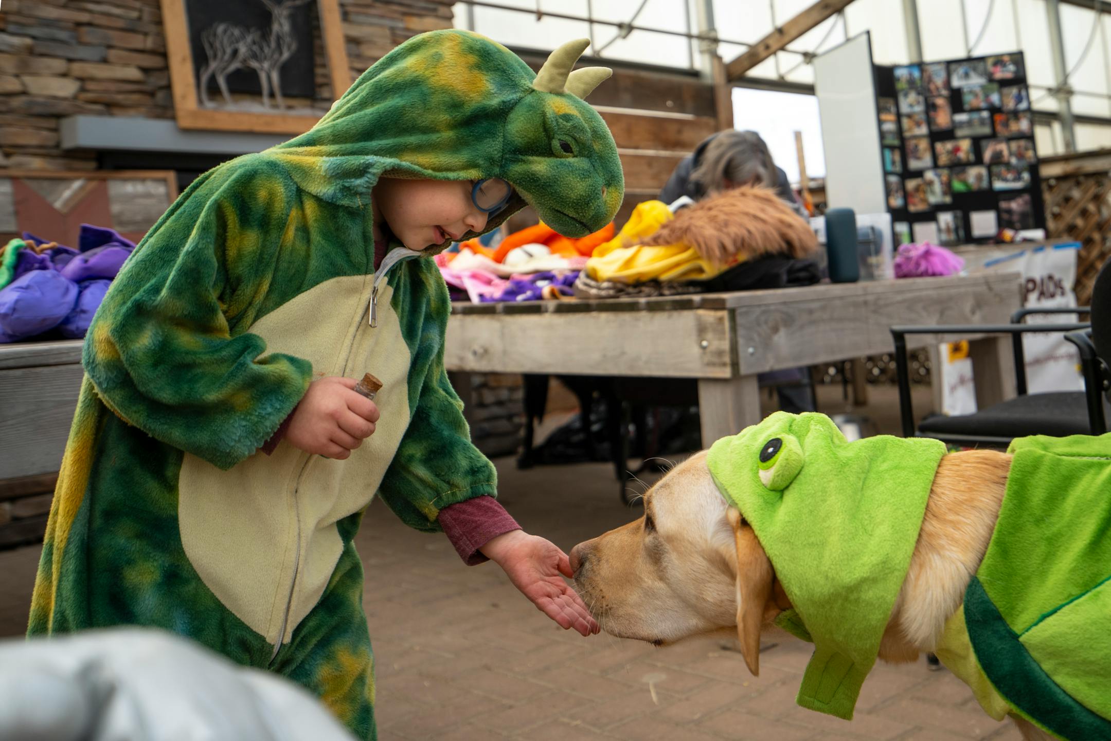 Matt Sierra, 5, pets Lenny, a service dog with Pawsitive Perspectives Assistance Dogs (PawPADs), at PawPAD's booth at Cottage Grove's Fall Fun Days in Cottage Grove, Minn. on Sunday, Oct. 29, 2023.