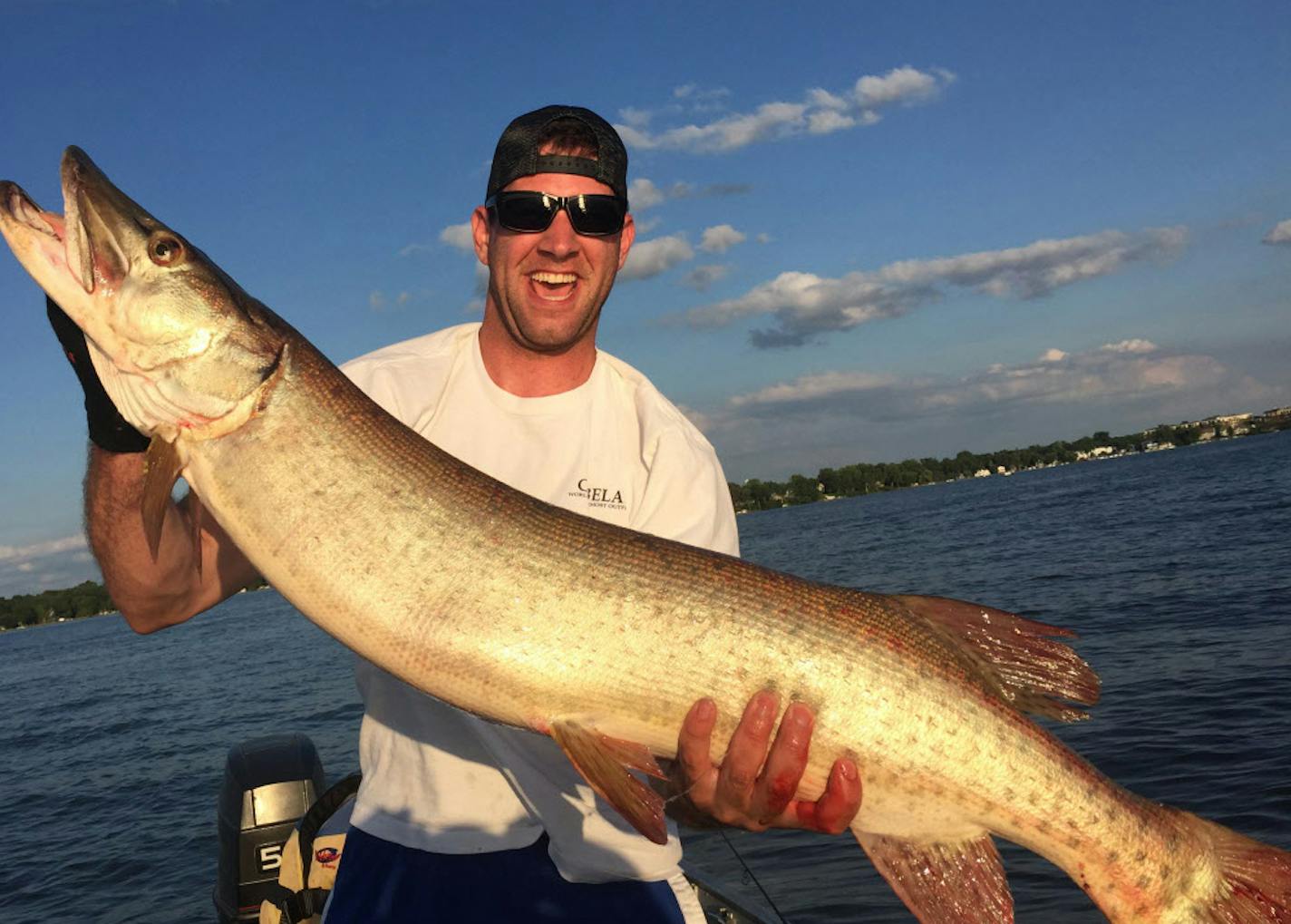 This 49.5-inch muskie was caught in Lake Minnetonka, a scene muskie advocates would like to see repeated in more lakes statewide. But the idea is meeting resistence from some walleye anglers and lakeshore owners. ORG XMIT: MIN1506221439540519