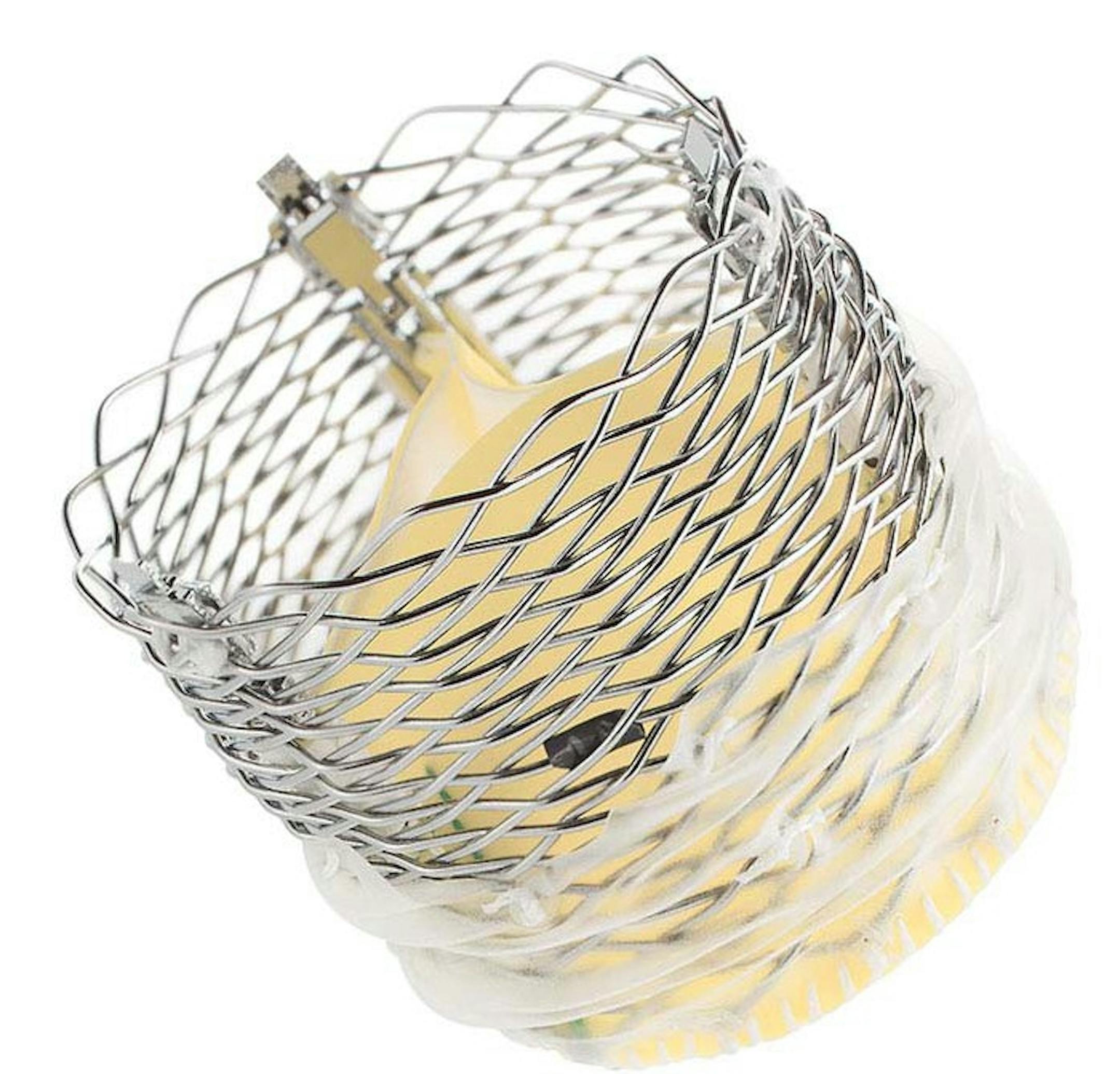 Boston Scientific's promising but delayed Lotus heart valve