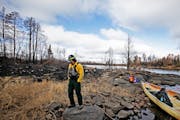 Carl Skustad, zone wilderness manager for the U.S. Forest Service, paused on a rock while surveying damage to the campsite 7 area on Lake Three in the