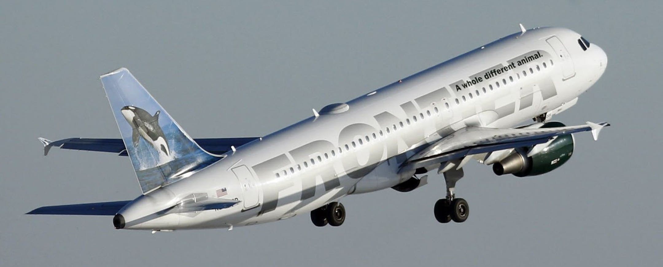 Winglets, the small vertical extensions at the end of the wing of an aircraft, are shown on a Frontier Airlines jet, Feb. 11, 2014 at Mitchell Airport in Milwaukee, Wis. (Mark Hoffman/Milwaukee Journal Sentinel/MCT)