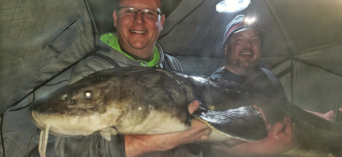 Darren Troseth, 45, of Jordan, holding the sturgeon with help from his fishing buddy, John Kimble of Prior Lake, wearing the headlamp. Photo received on Feb. 13, 2019.