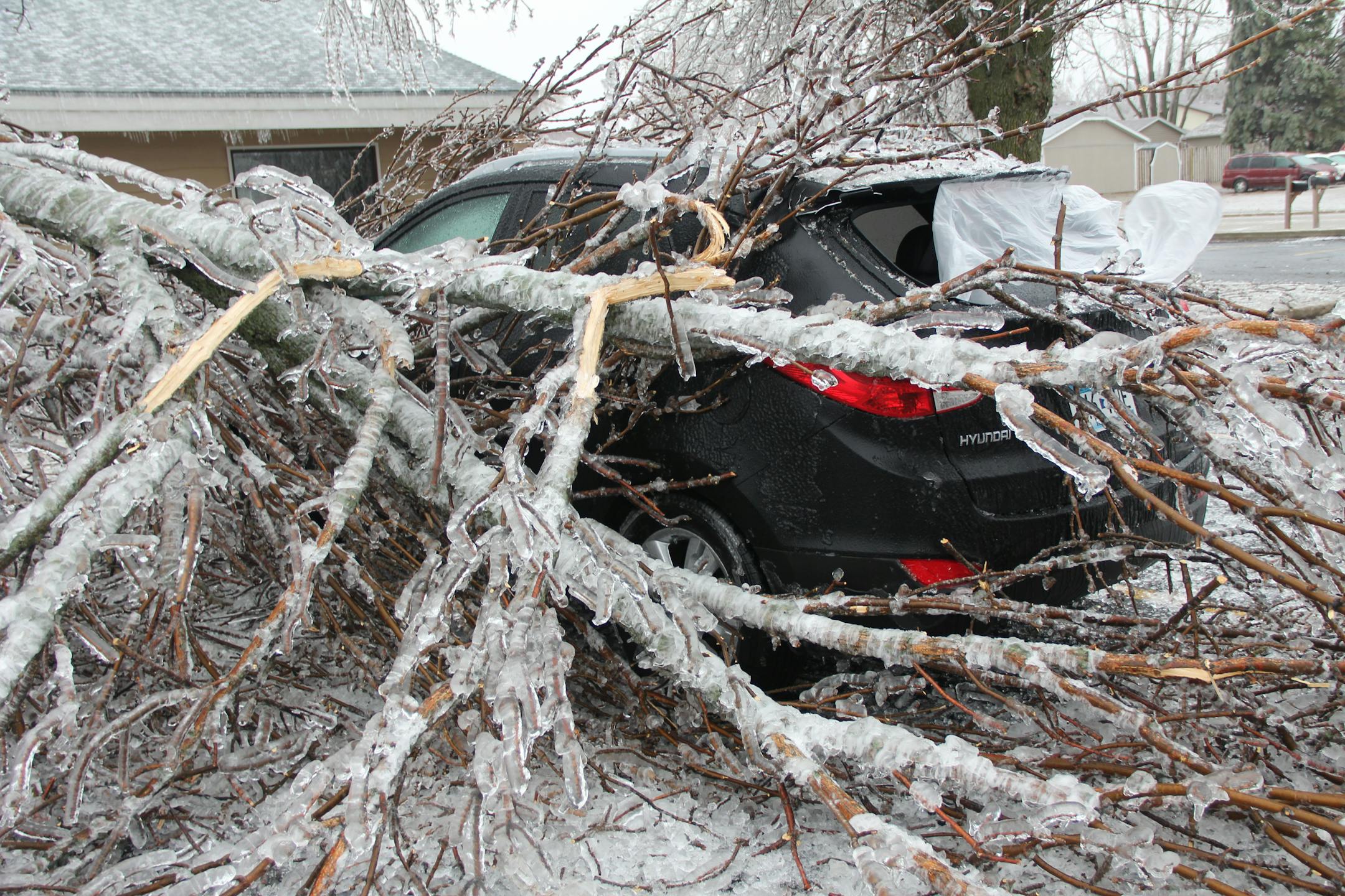 An ice-covered tree rests atop a vehicle it fell upon at the AmericInn Wednesday, April 10, 2013 in Worthington, Minn. Thousands of people remained without power in the Worthington area of southwestern Minnesota on Wednesday, the day after an ice storm coated trees and power lines, while the next round of the storm threatened to dump several inches of wet snow across much of the southern half of Minnesota by Thursday.