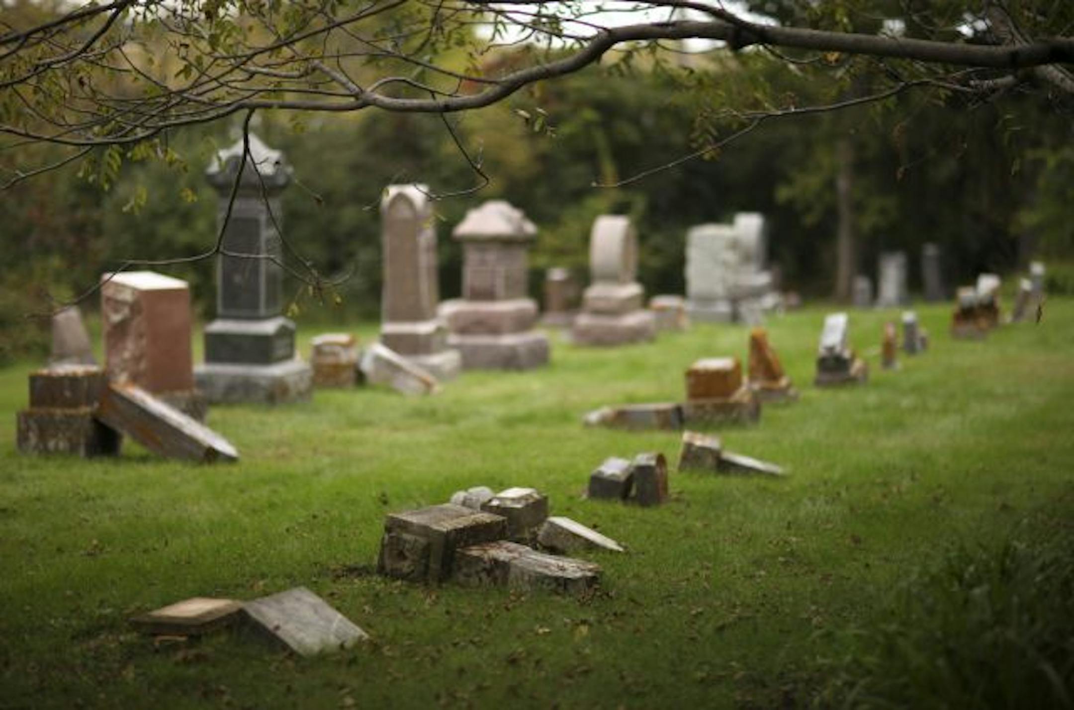 Some of the more than 100 head stones that were knocked over last month in the St. John's Lutheran Church cemetery in Norwood Young America.