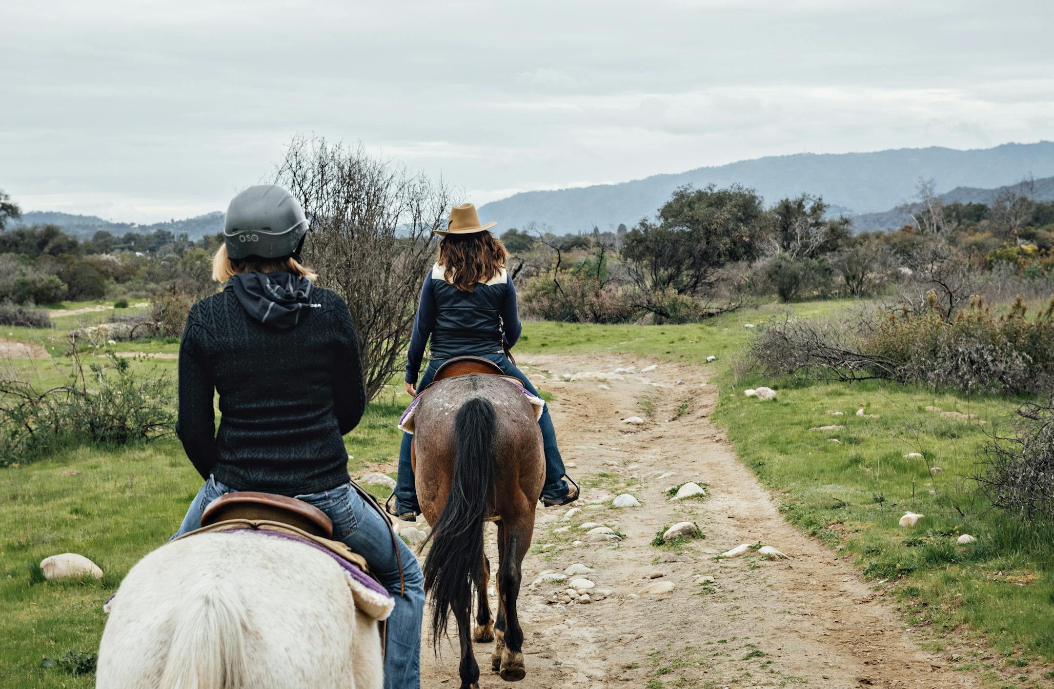 The Ojai Valley Trail Riding Company is a wonderful ranch where you can go on guided horseback rides of various lengths. The ranch also resembles a trip to the state fair as you get to hang out with cows, goats, donkeys, peacocks and other wildlife (including the horses). The ranch is female owned and operated. ] Photos by Leslie Plesser &#x2022;&#xa0;Special to the Star Tribune