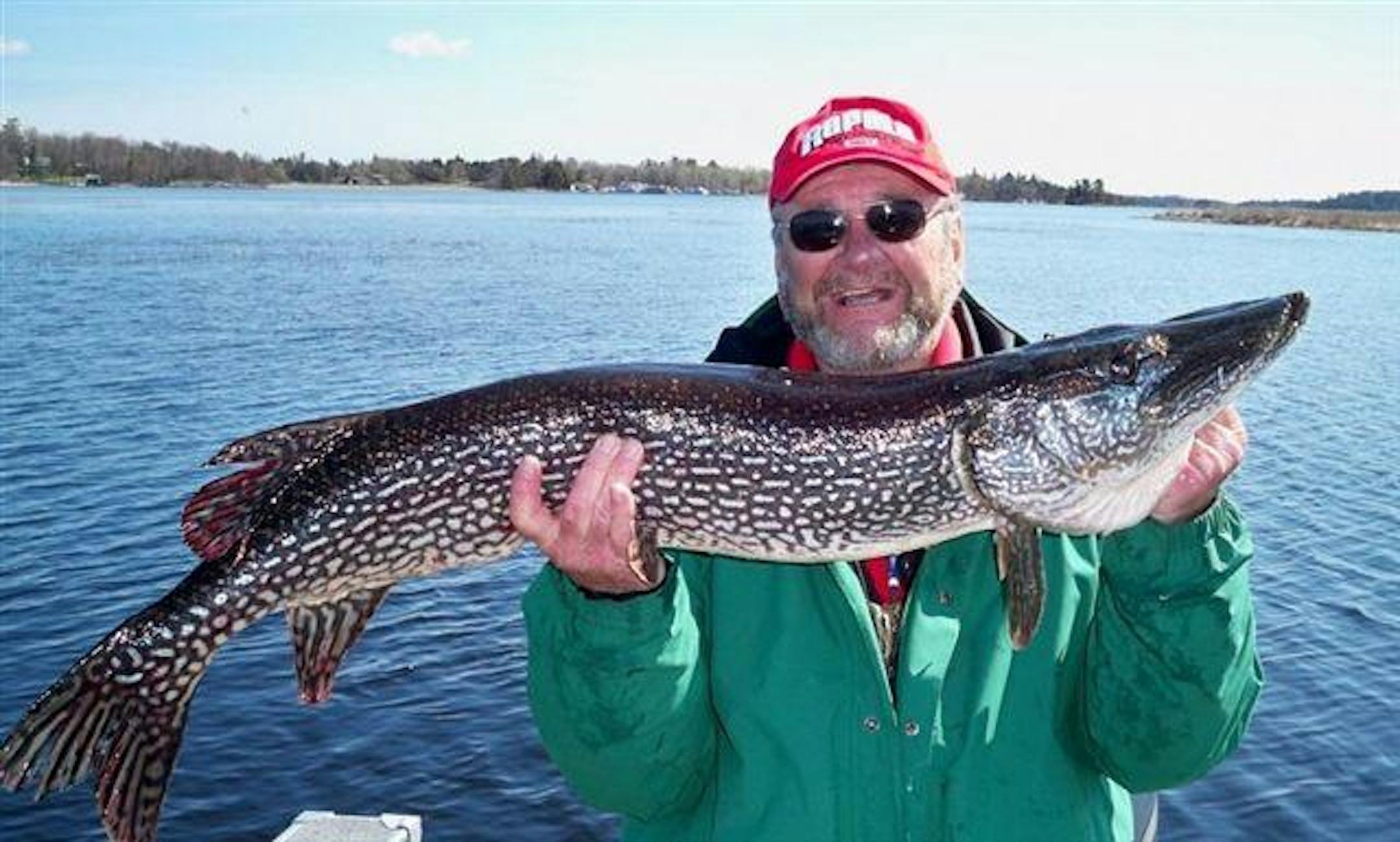 45 inch northern pike caught by Larry Bollig on May 10, 2009 on Rainy Lake, MN using a Rapala Xrap--water temp 48 degrees