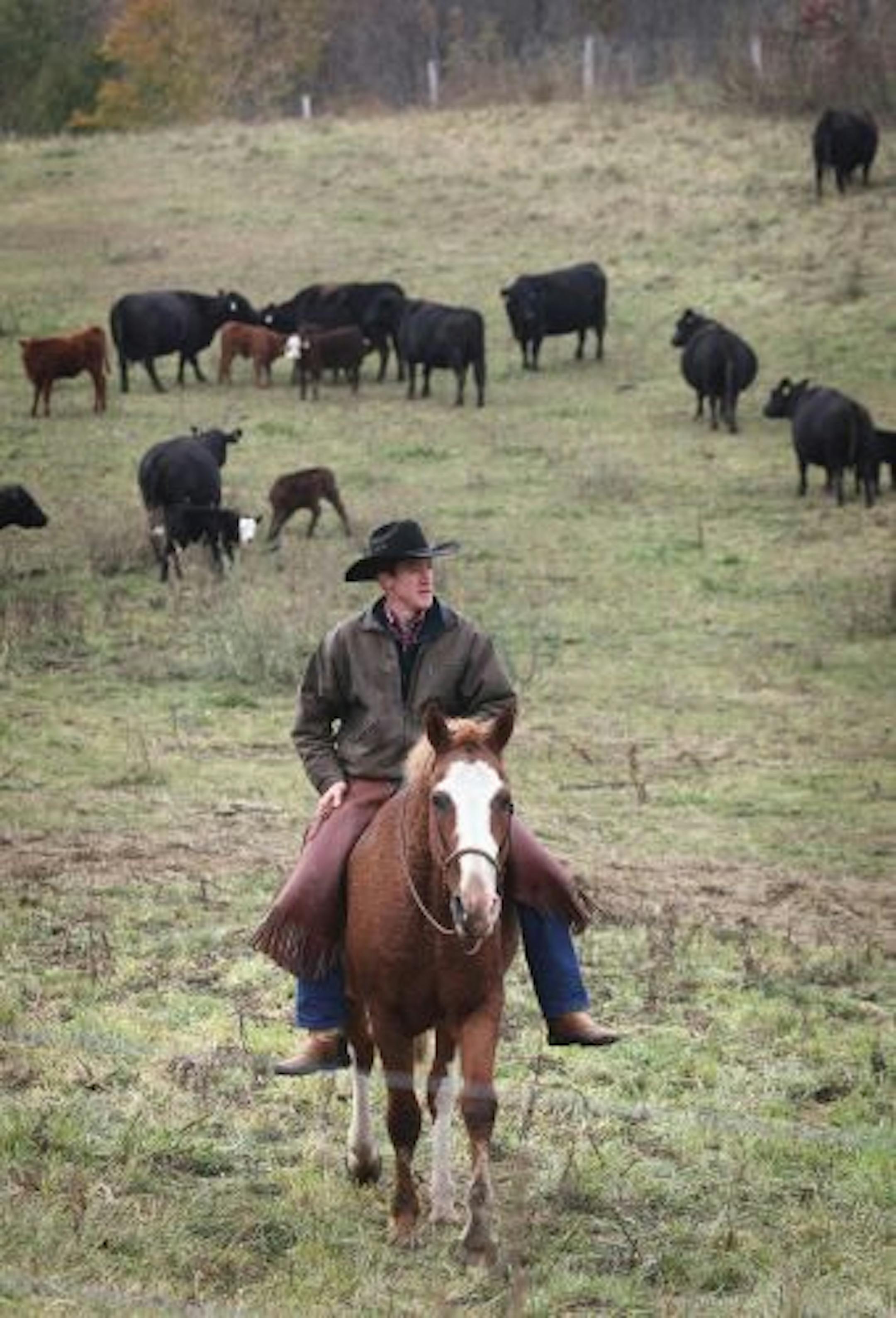 Thousand Hills Cattle Ranch, Led by Todd Churchill, produces grass fed beef from a herd of about 150 head.