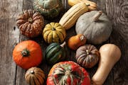Photo by Mette Nielsen, Special to the Star Tribune. In fall, squash deservedly gets all the vegetable attention.