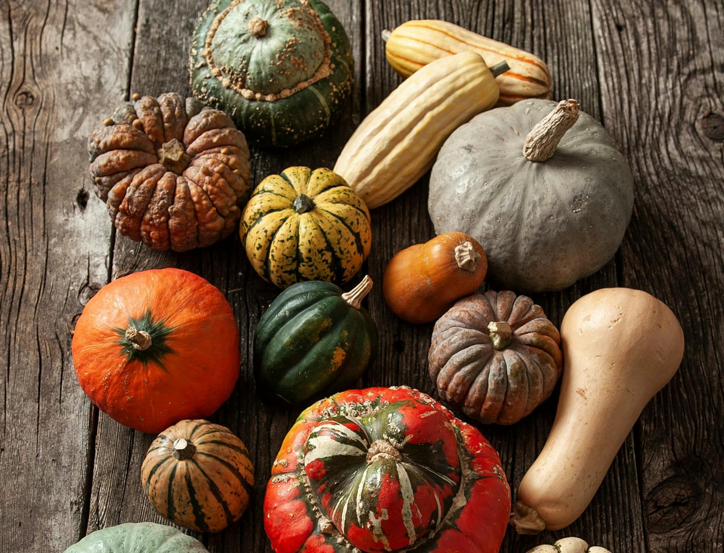 Photo by Mette Nielsen, Special to the Star Tribune. In fall, squash deservedly gets all the vegetable attention.