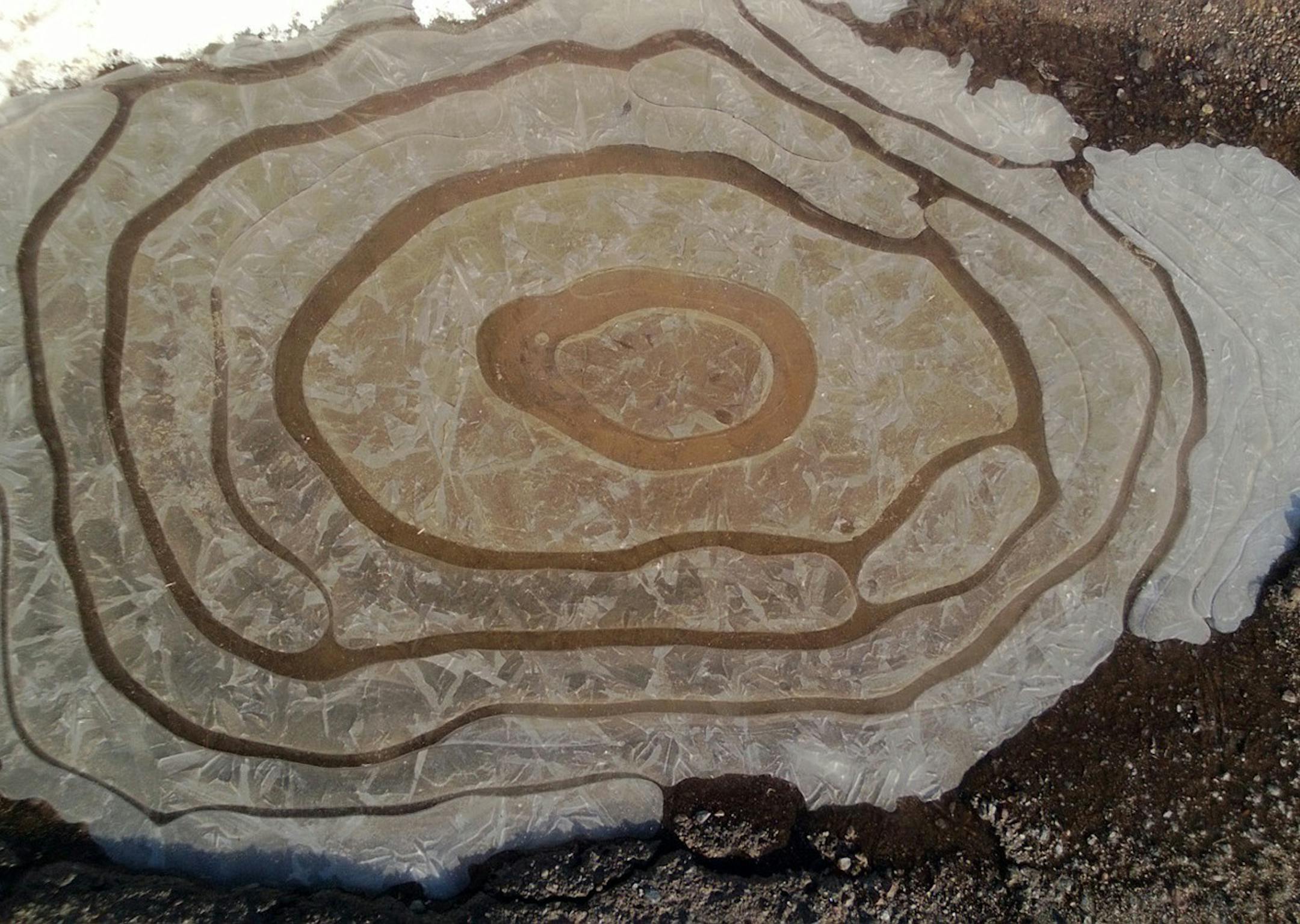 Signs of spring for Variety's IN FOCUS feature Taken by Mary S. Johnson on a county road in southern Aitkin County. Muddy puddles that froze overnight. Spotted in an early morning walk.
