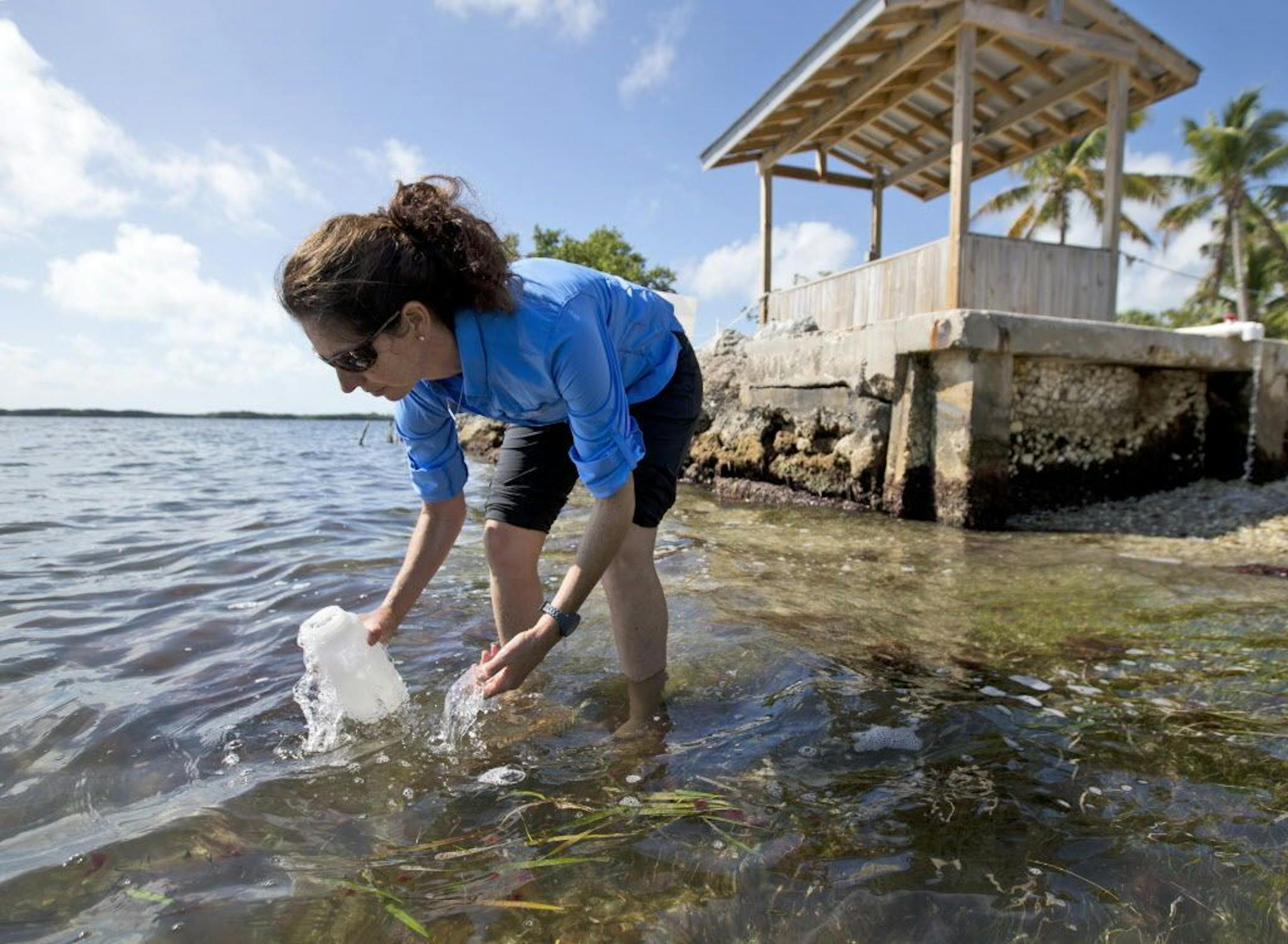 In this, Tuesday, Feb. 7, 2017 photo, Sarah Egner, director of curriculum development at Marinelab in Key Largo, Fla., takes a water sample to check for the presence of microscopic plastics in the water. Gulf Coast researchers are preparing to launch a two-year study to see what kinds of microscopic plastics can be found in the waters from south Texas to the Florida Keys. The project will expand a year's worth of data collected around the state of Florida that predominantly found microfibers, sh
