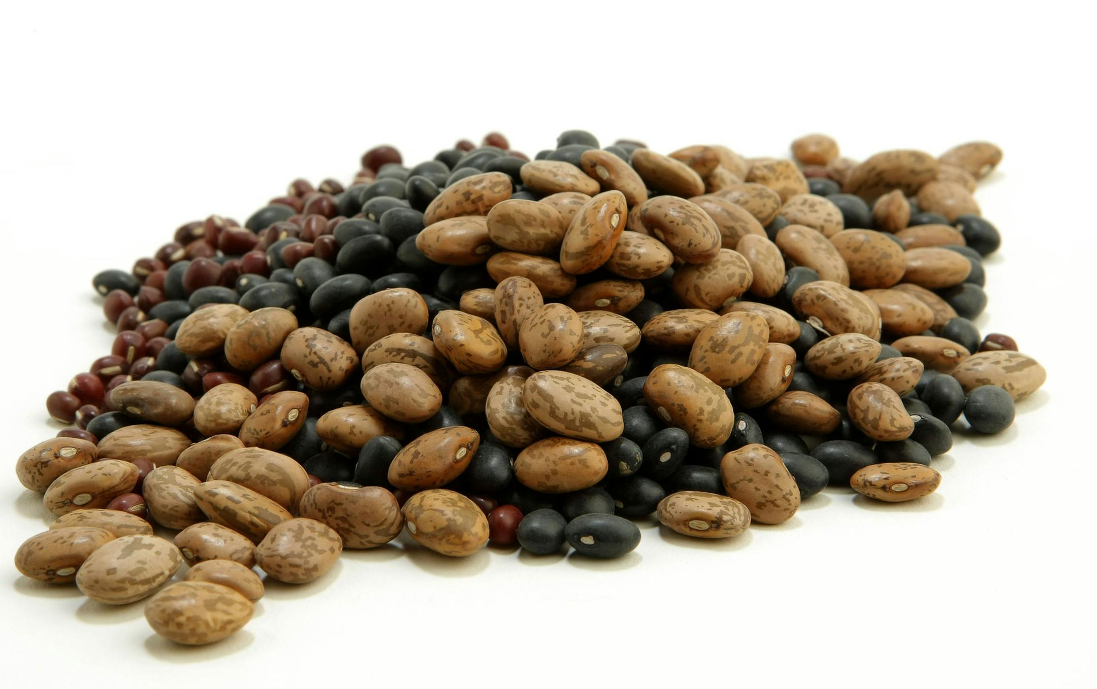 Dry beans, peas and lentils are packed with soluble fiber that soaks up cholesterol like a sponge and escorts it out of your body. Low in fat, legumes are loaded with protein and folate, a B vitamin that helps lower blood levels of homocysteine a type of amino acid linked to heart disease and stroke. Tulane University researchers found that people who ate legumes at least four times a week or more had a 22 percent lower risk of heart disease. (Bob Fila/Chicago Tribune/MCT) ORG XMIT: 1055421