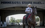 Minnesota State Fair Mounted Patrol member Steve Roberts, atop his 14-year-old bay quarter horse, Hickory, guided animal trailers into the fairgrounds