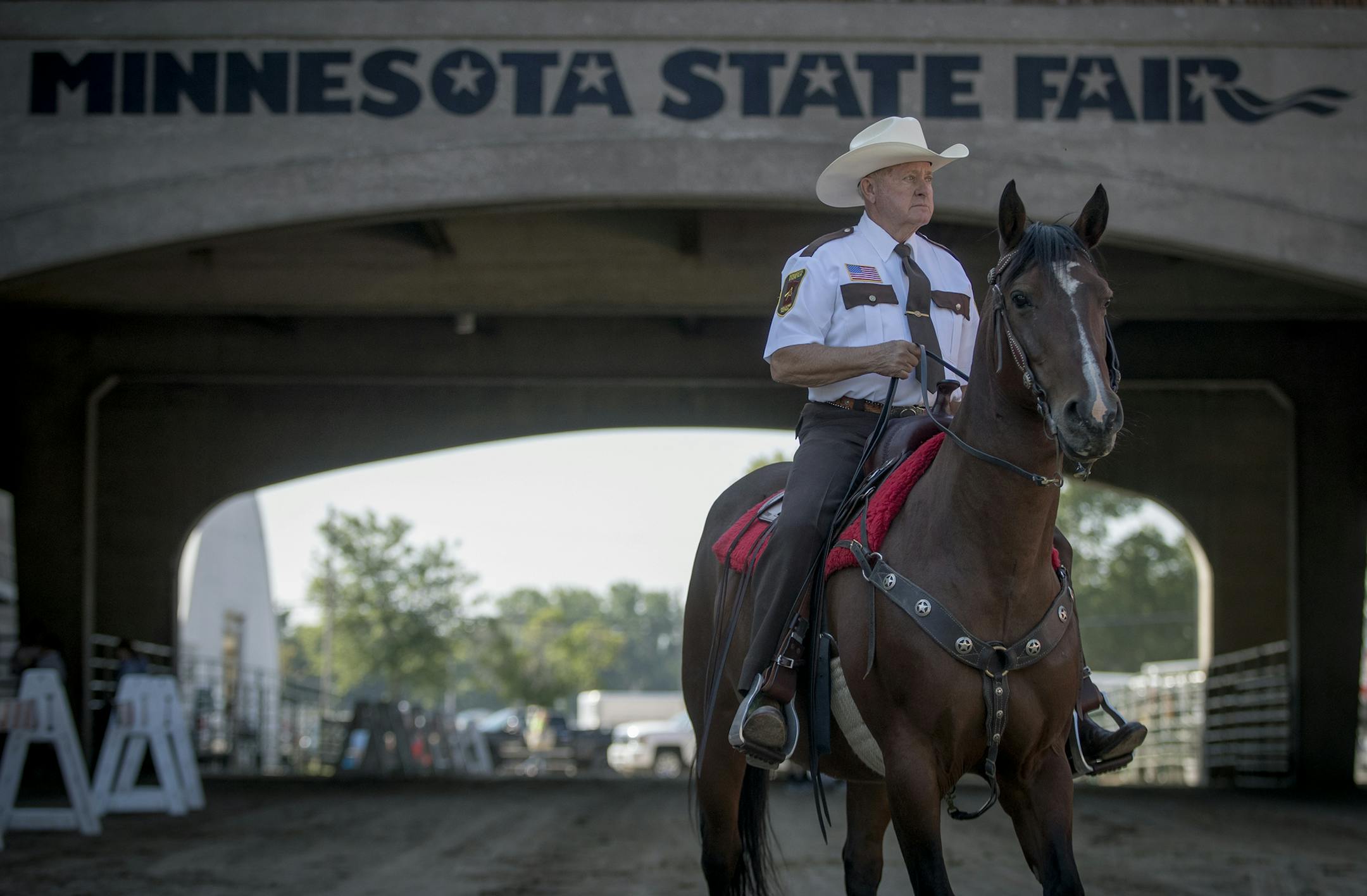 Minnesota State Fair Mounted Patrol member Steve Roberts, atop his 14-year-old bay quarter horse, Hickory, guided animal trailers into the fairgrounds.